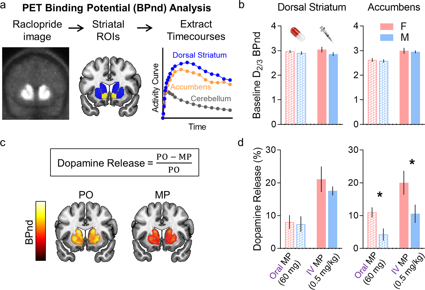 Sex differences in methylphenidate-induced dopamine increases in ventral striatum Molecular Psychiatry