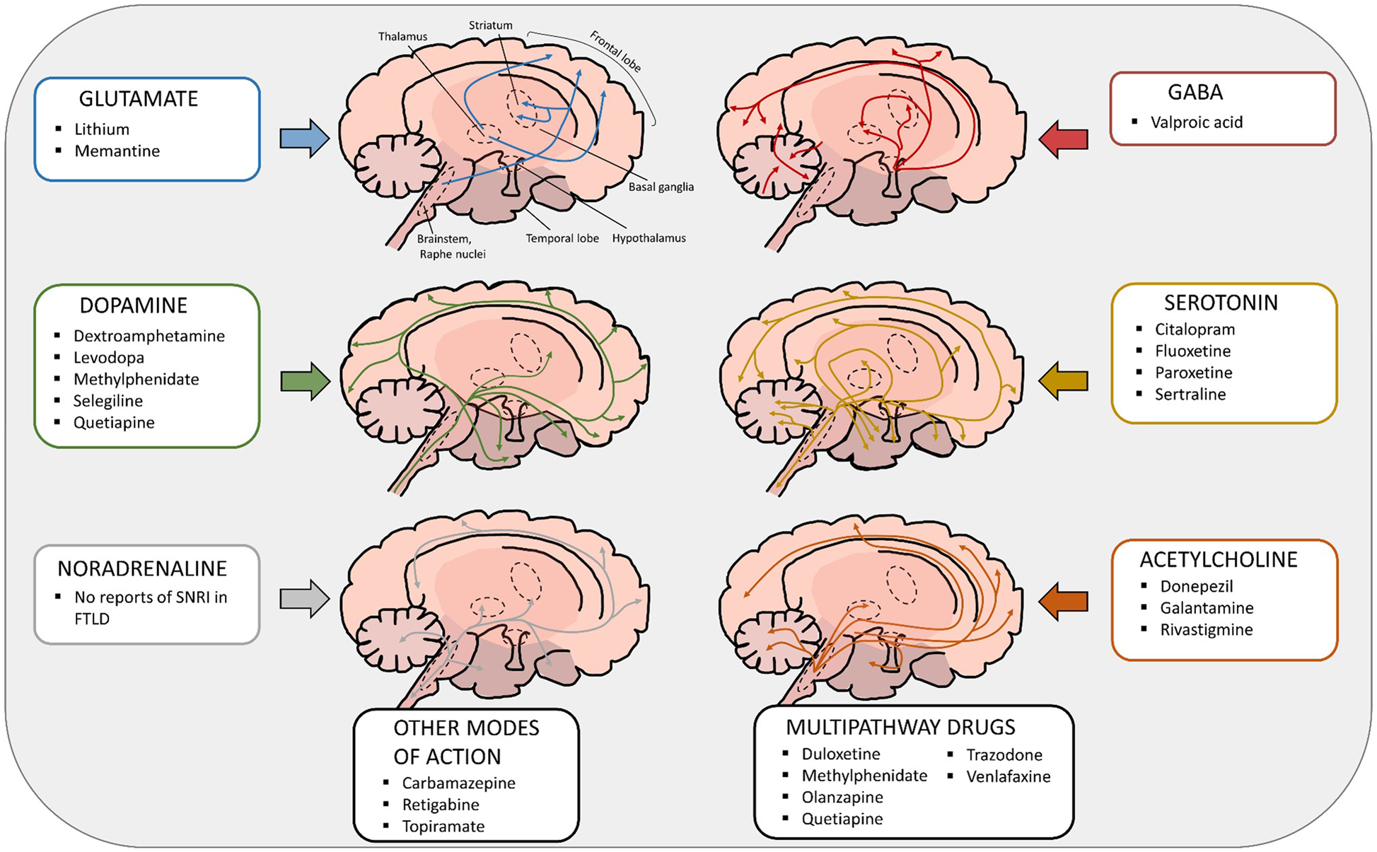 All About Dopamine & Its Related Disorders