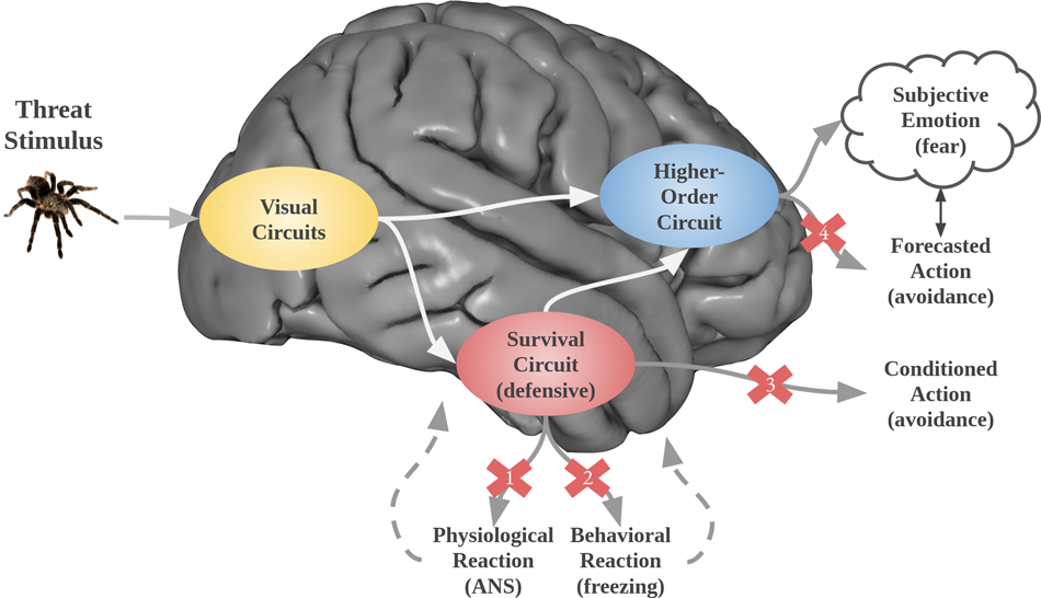 Changing Character: Short-term Anxiety-regulating Psychotherapy