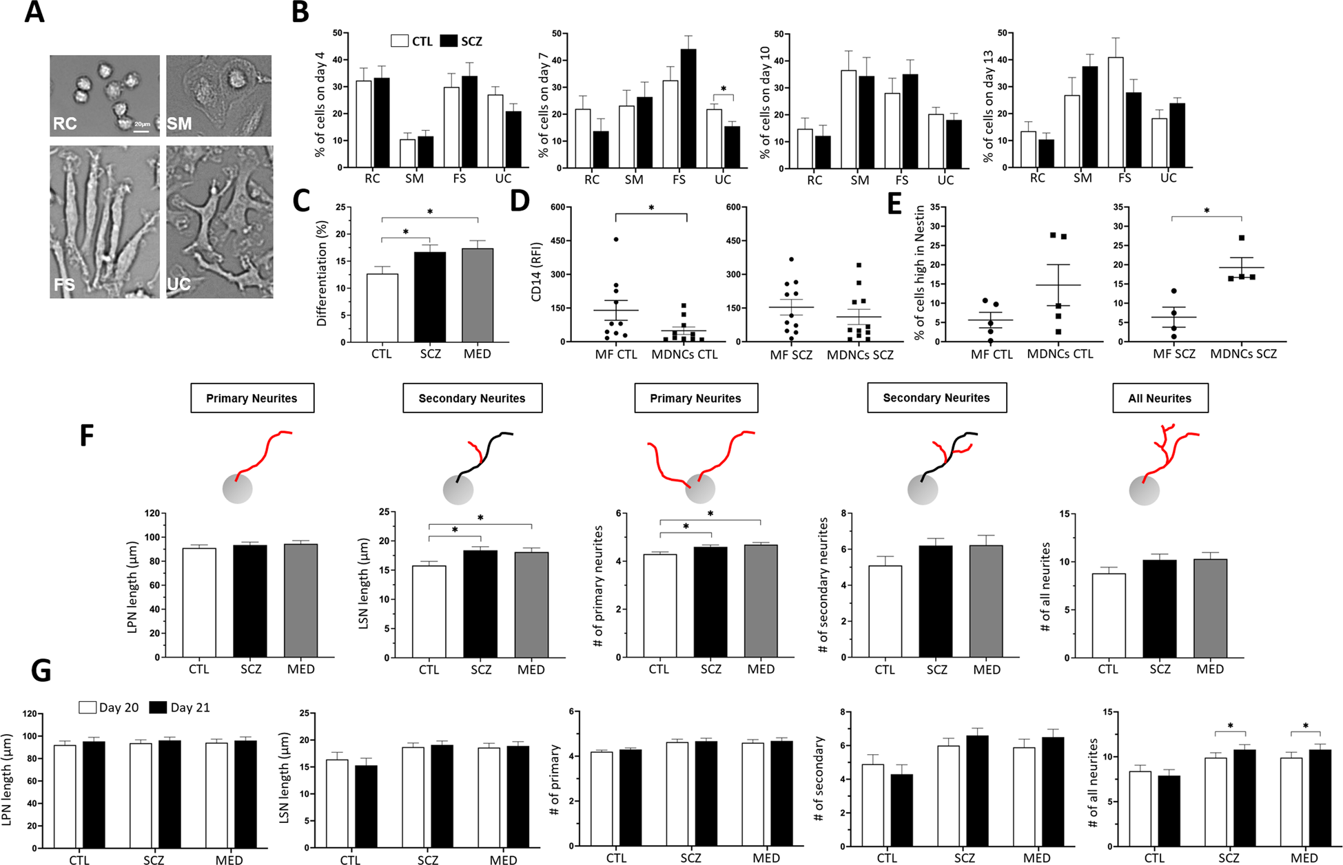 Fig. 2: MDNCs from controls (CTL) versus patients with schizophrenia (SCZ).