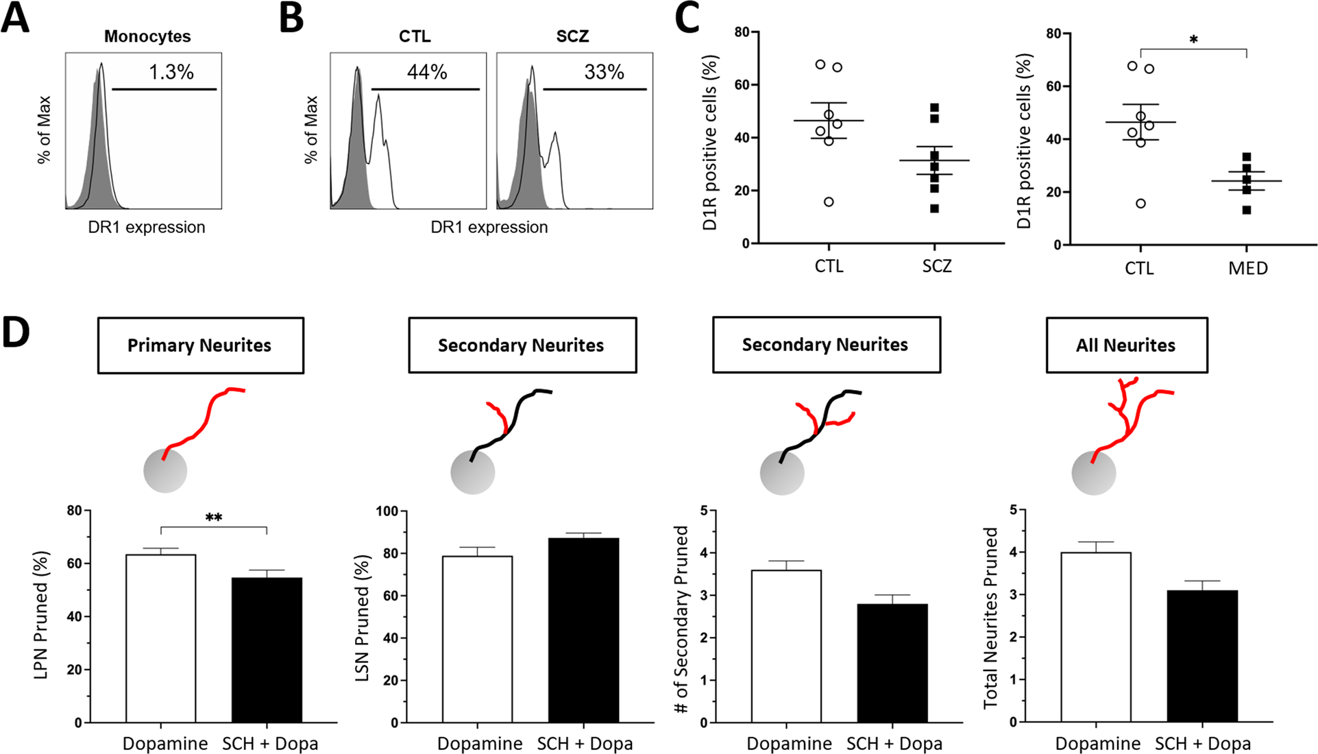 Fig. 4: Dopamine 1 receptors in MDNCs from CTL and SCZ.