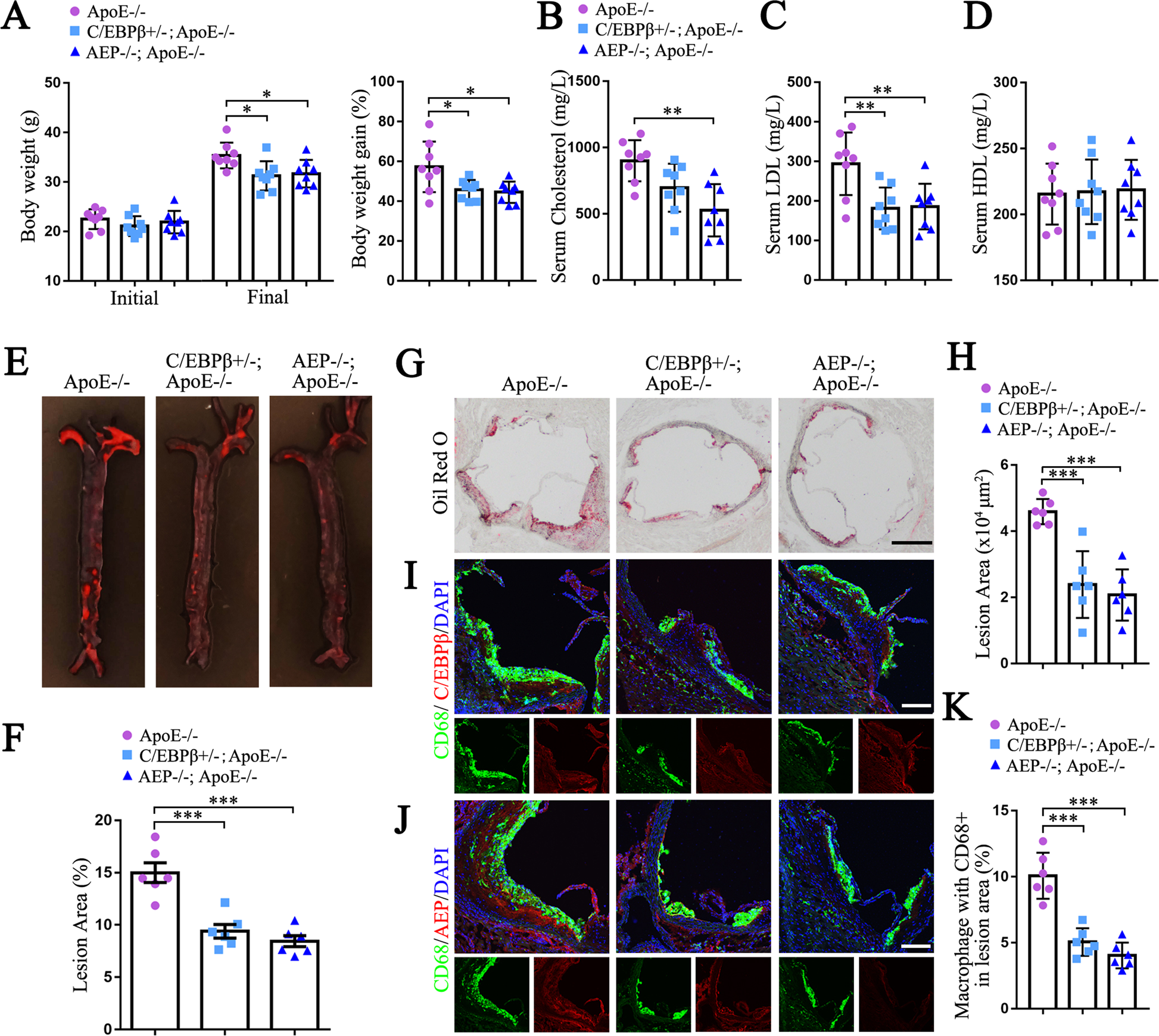 Temporal Relationships Between Circulating Levels of CC and CXC Chemokines  and Developing Atherosclerosis in Apolipoprotein E*3 Leiden Mice