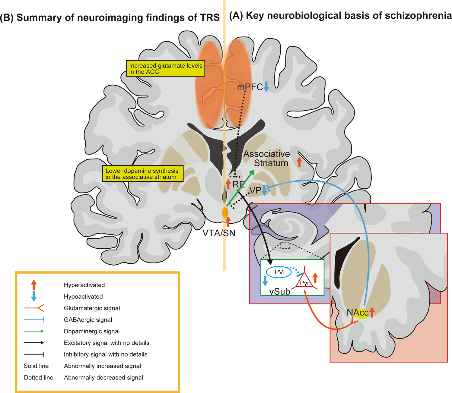 Dopaminergic dysfunction and excitatory/inhibitory imbalance in  treatment-resistant schizophrenia and novel neuromodulatory treatment |  Molecular Psychiatry