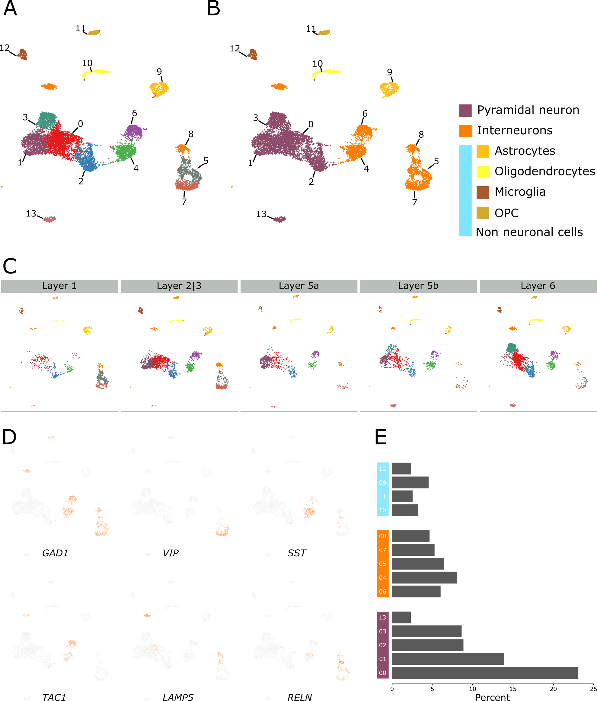 Differential vulnerability of anterior cingulate cortex cell types to diseases and drugs | Molecular Psychiatry differential-vulnerability-of-anterior-cingulate-cortex-cell-types-to-diseases-and-drugs-molecular-psychiatry