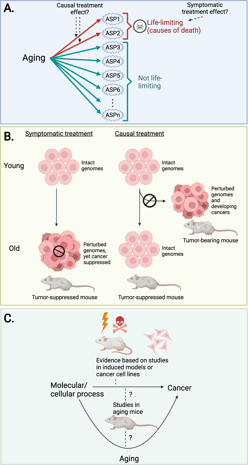 Targeting the “hallmarks of aging” to slow aging and treat age-related  disease: fact or fiction? | Molecular Psychiatry