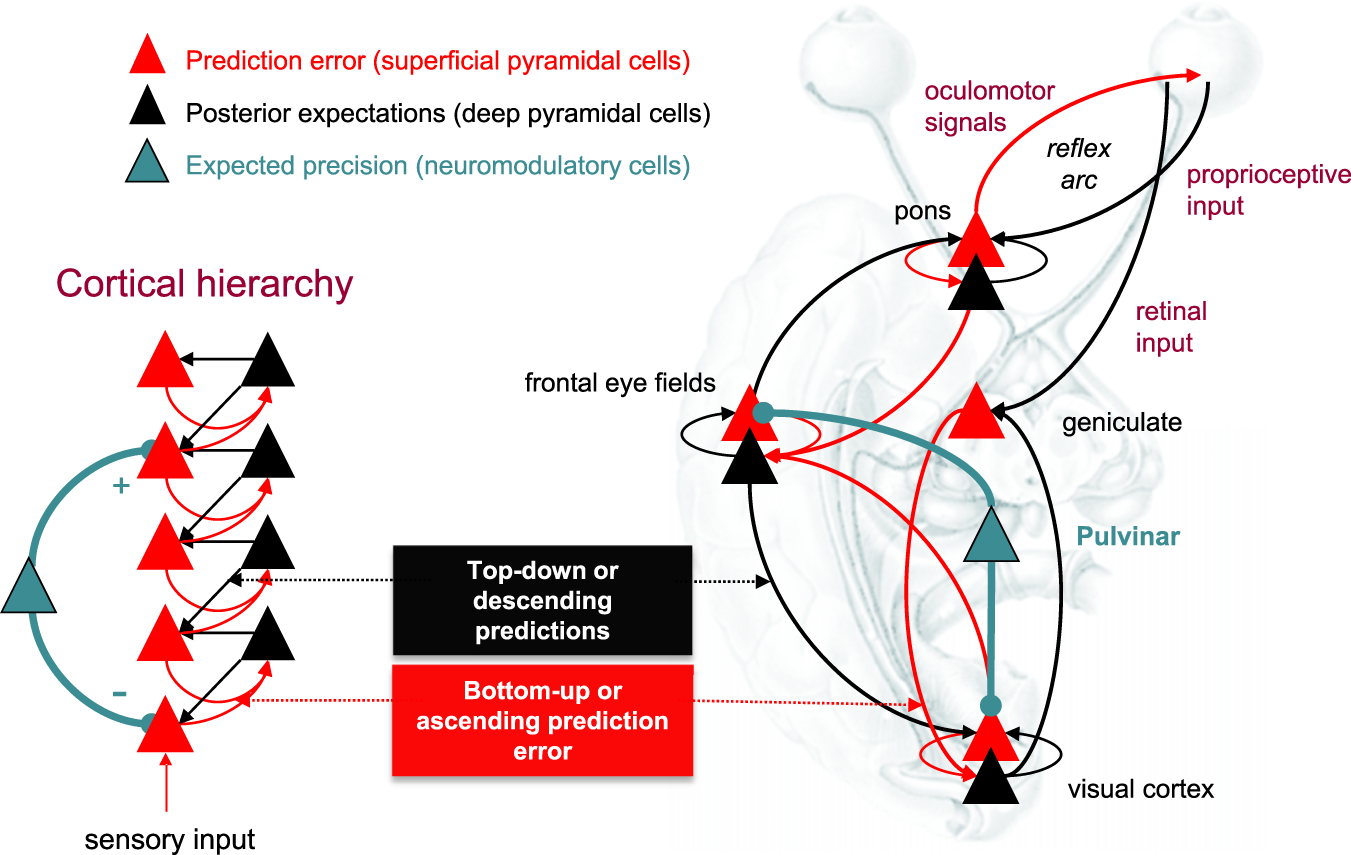 Intentional Automata: A Context-Dependent Model for Component Connectors