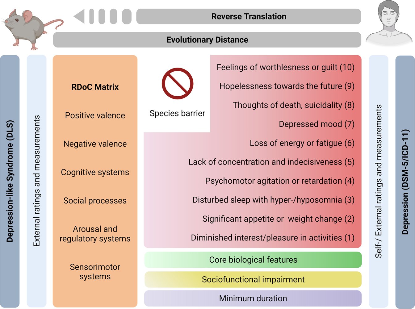 Introducing a depression-like syndrome for translational neuropsychiatry: a  plea for taxonomical validity and improved comparability between humans and  mice | Molecular Psychiatry