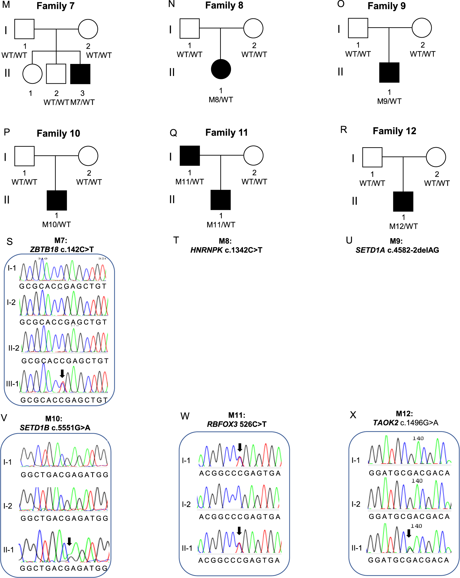 Fig. 3: Families with high confidence variants analysed by genome sequencing.