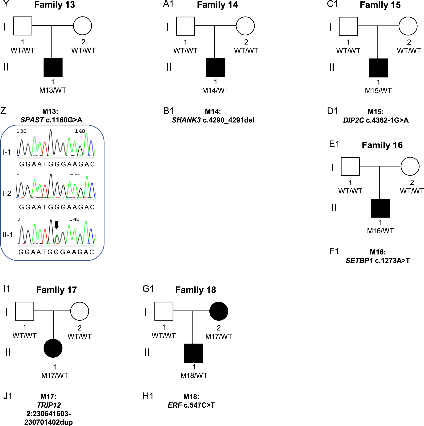 Fig. 3: Families with high confidence variants analysed by genome sequencing.