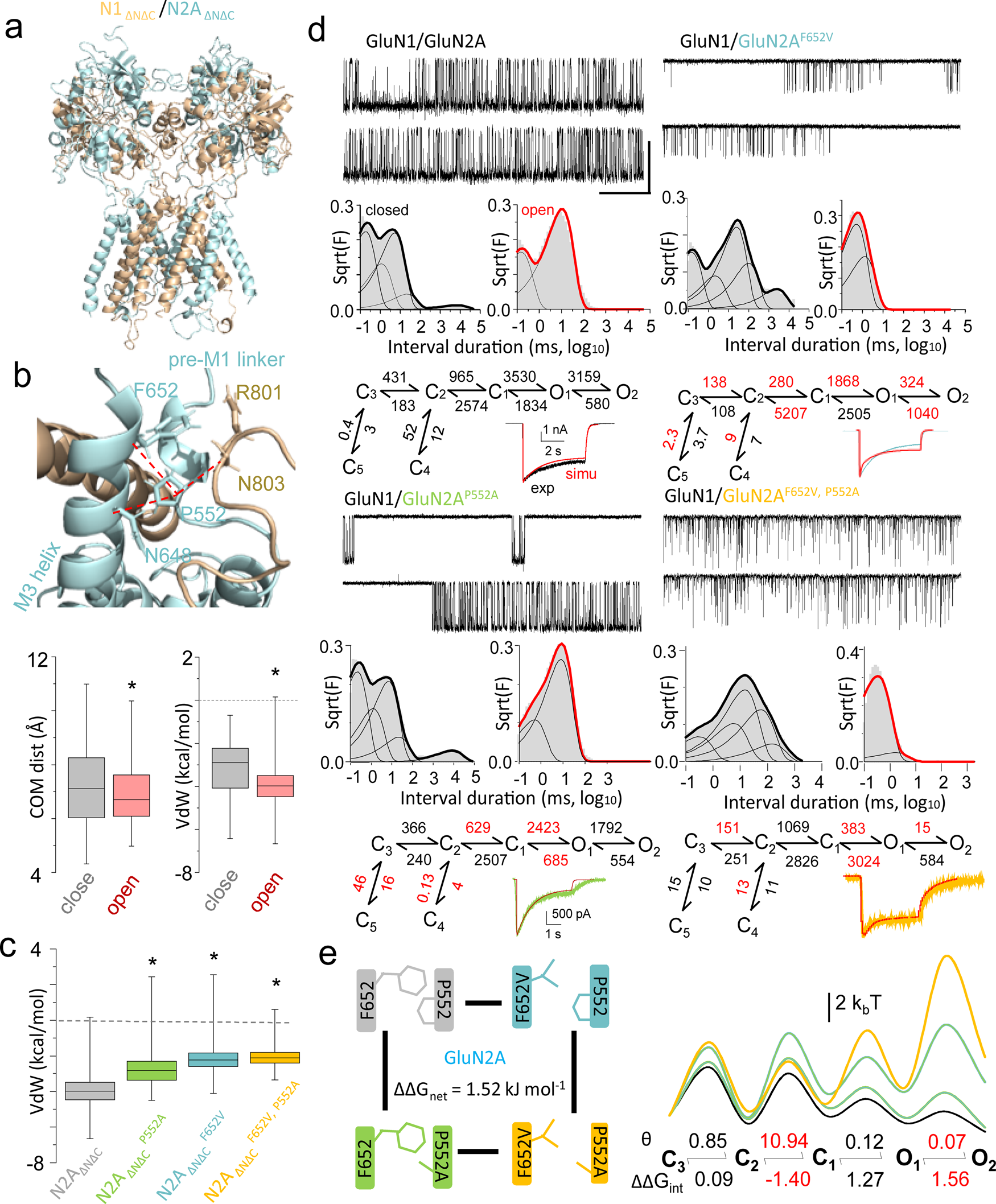 Complex functional phenotypes of NMDA receptor disease variants | Molecular  Psychiatry