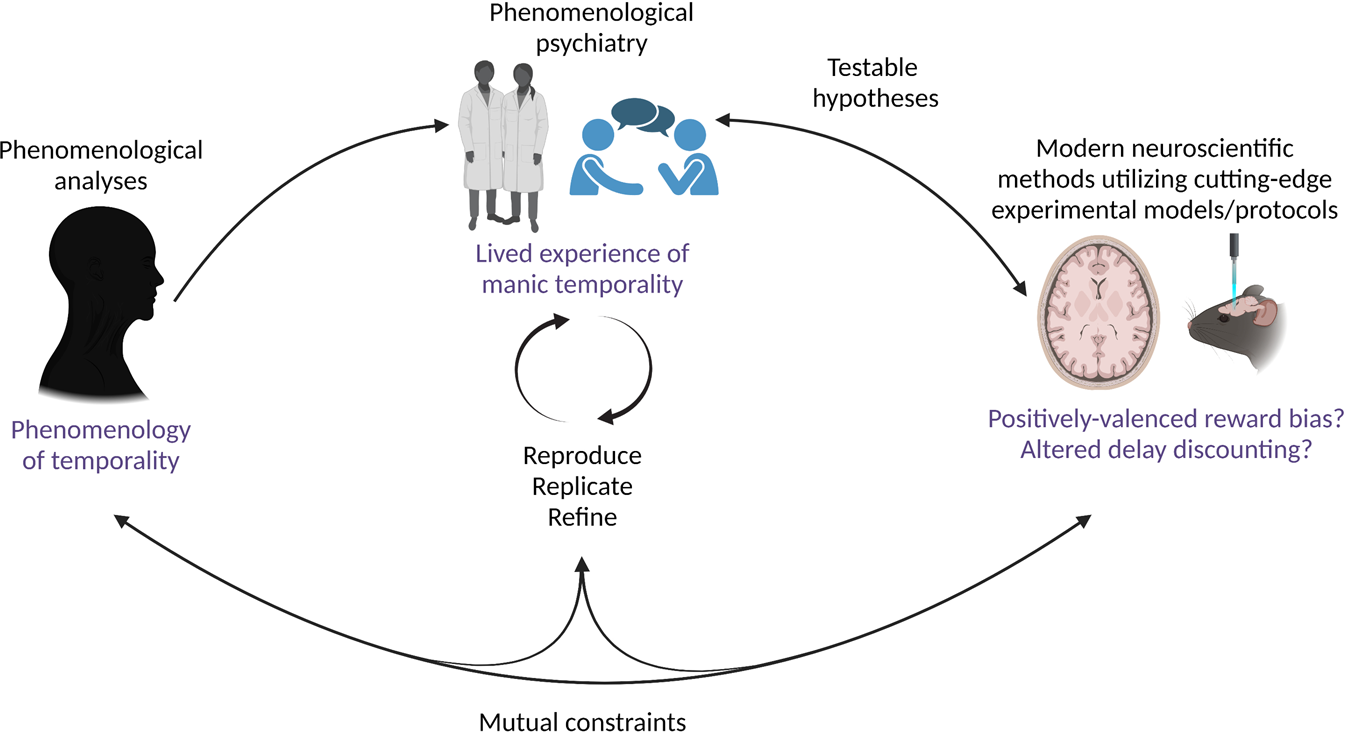 Taking subjectivity seriously: towards a unification of phenomenology,  psychiatry, and neuroscience | Molecular Psychiatry