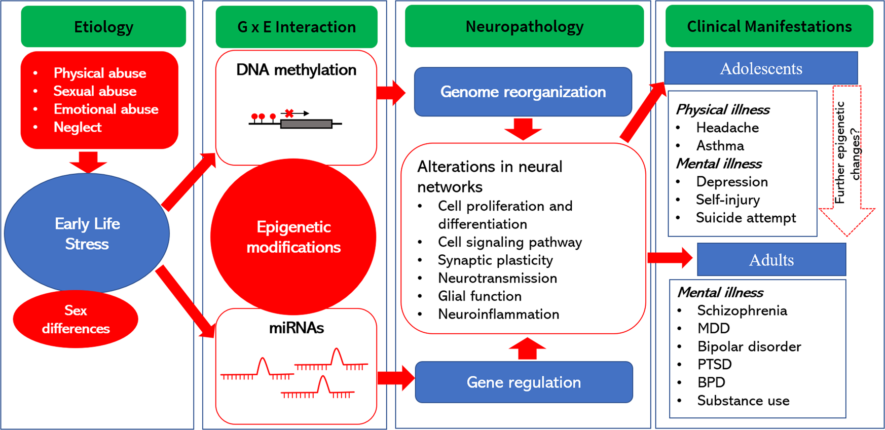 Dissecting early life stress-induced adolescent depression through epigenomic approach Molecular Psychiatry