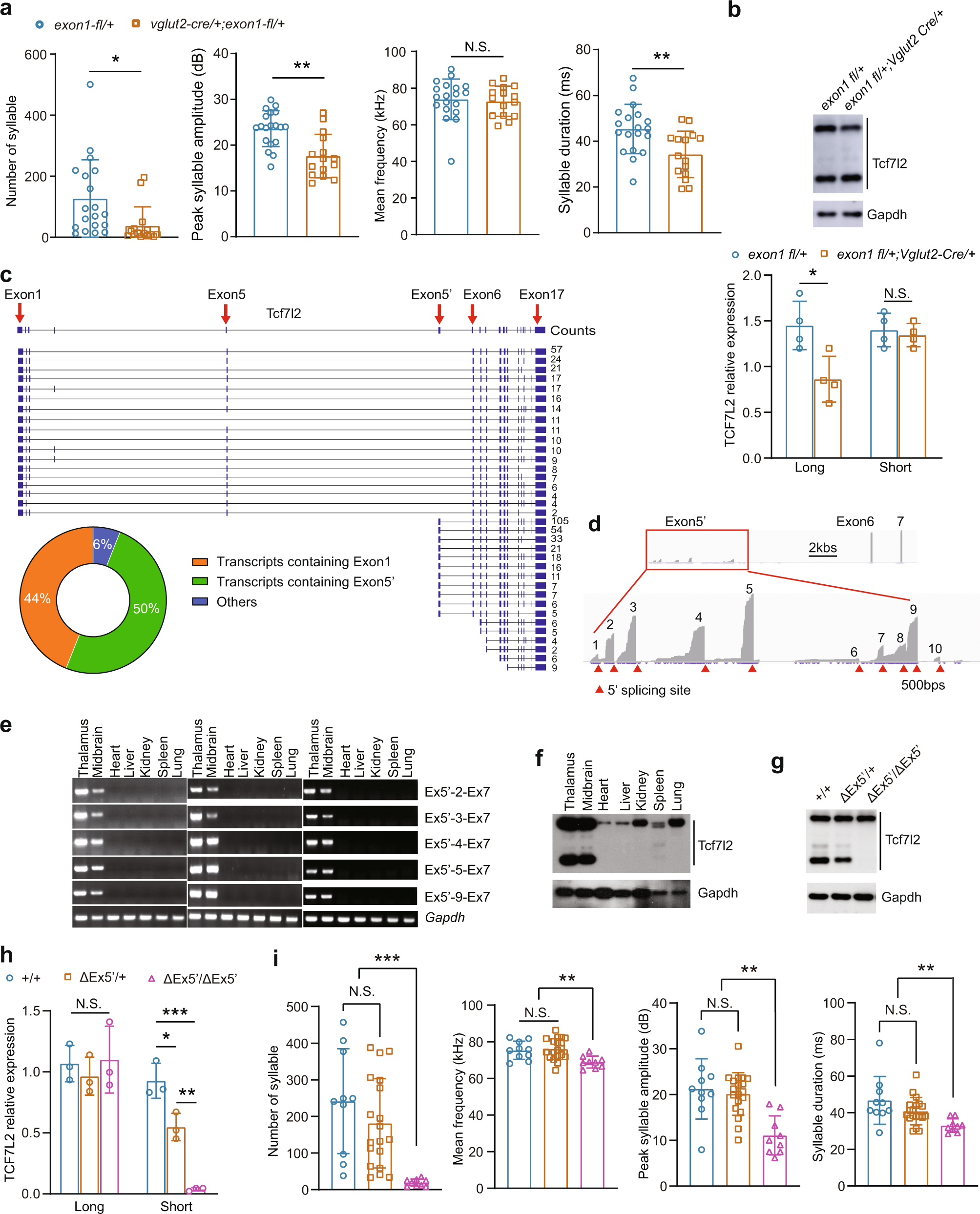 Fig. 6: Both flTCF7L2 and dnTCF7L2 are required for mouse USVs.