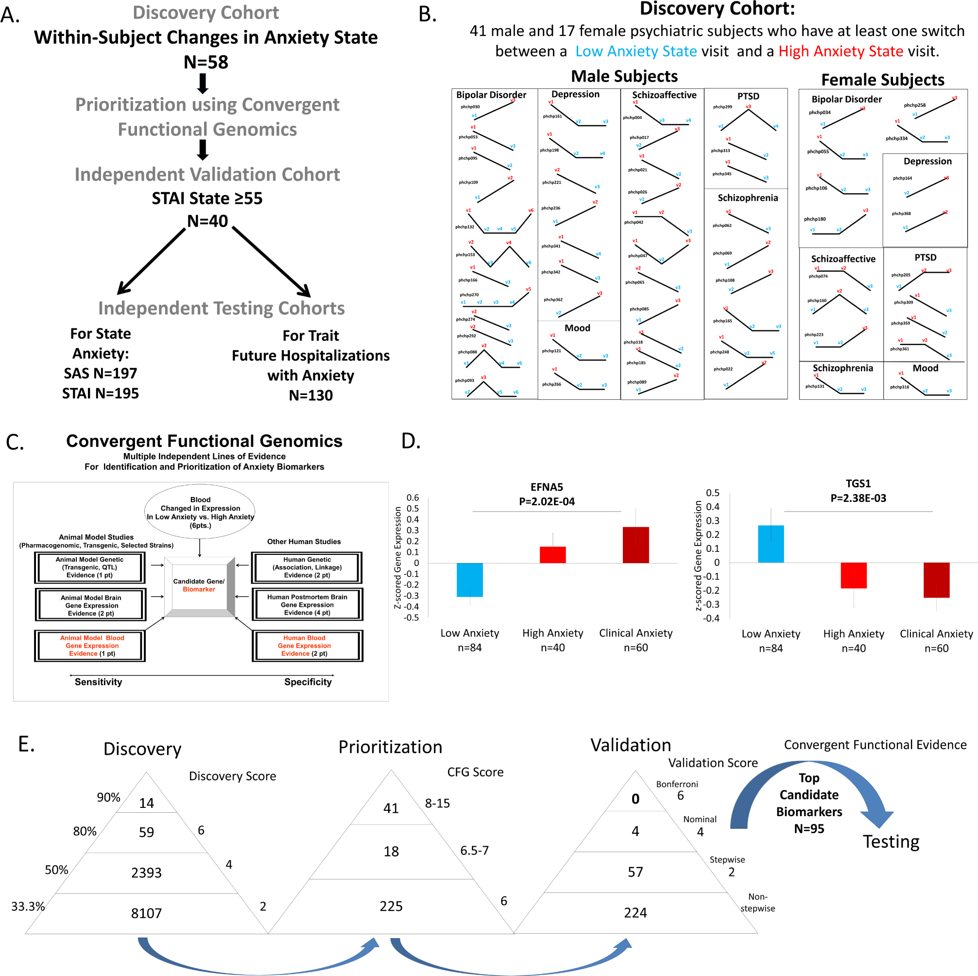 Towards precision medicine for anxiety disorders: objective assessment,  risk prediction, pharmacogenomics, and repurposed drugs | Molecular  Psychiatry
