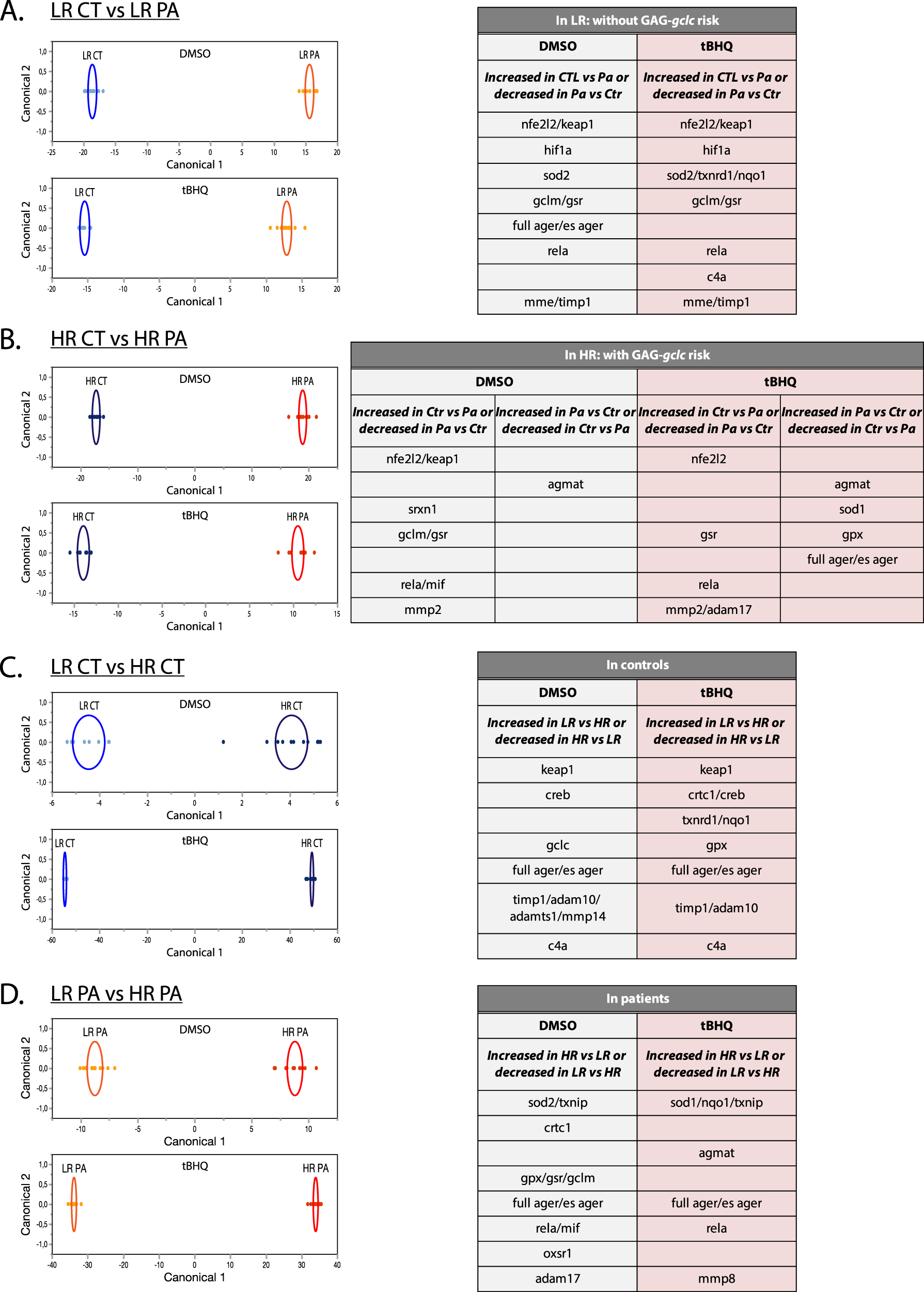 Fig. 4: Discriminant analysis to compare two-by-two the different groups under DMSO and tBHQ conditions.
