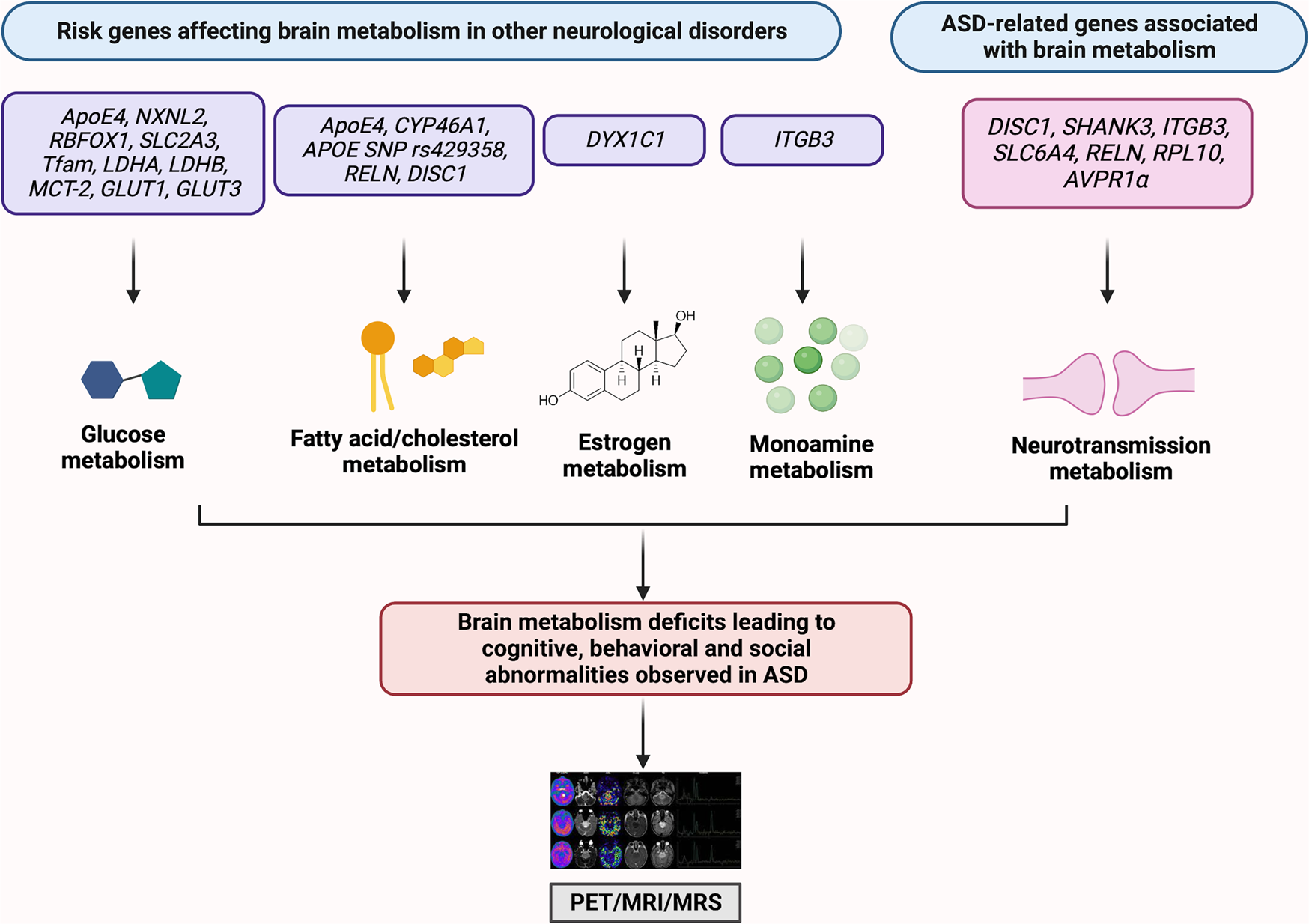 https://media.springernature.com/full/springer-static/image/art%3A10.1038%2Fs41380-023-02060-9/MediaObjects/41380_2023_2060_Fig1_HTML.png