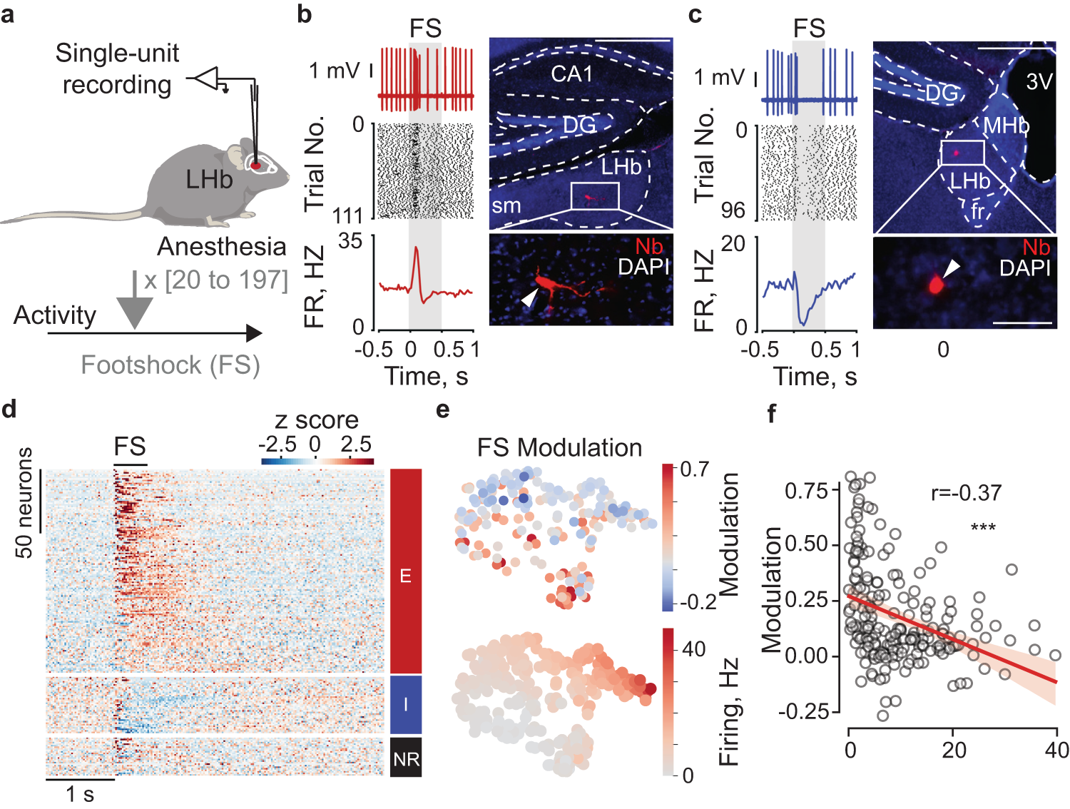 Fig. 1: LHb neurons can show excitatory or inhibitory responses to foot shock.