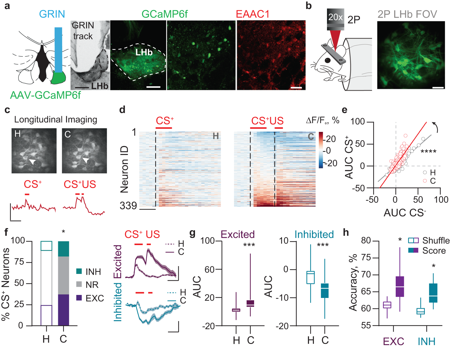 Fig. 3: Single neuron inhibitory and excitatory responses adapt during associative learning.