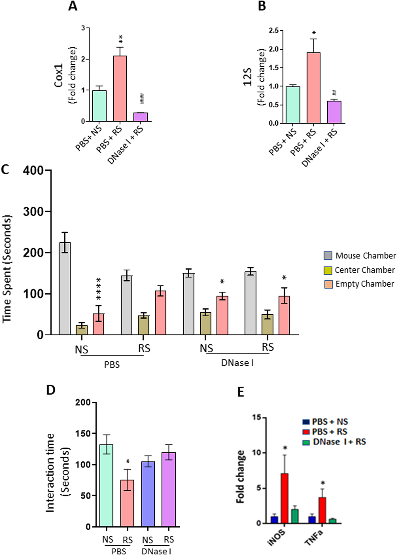 Mitochondrial DNA and TLR9 activation contribute to SARS-CoV-2-induced  endothelial cell damage. - Abstract - Europe PMC