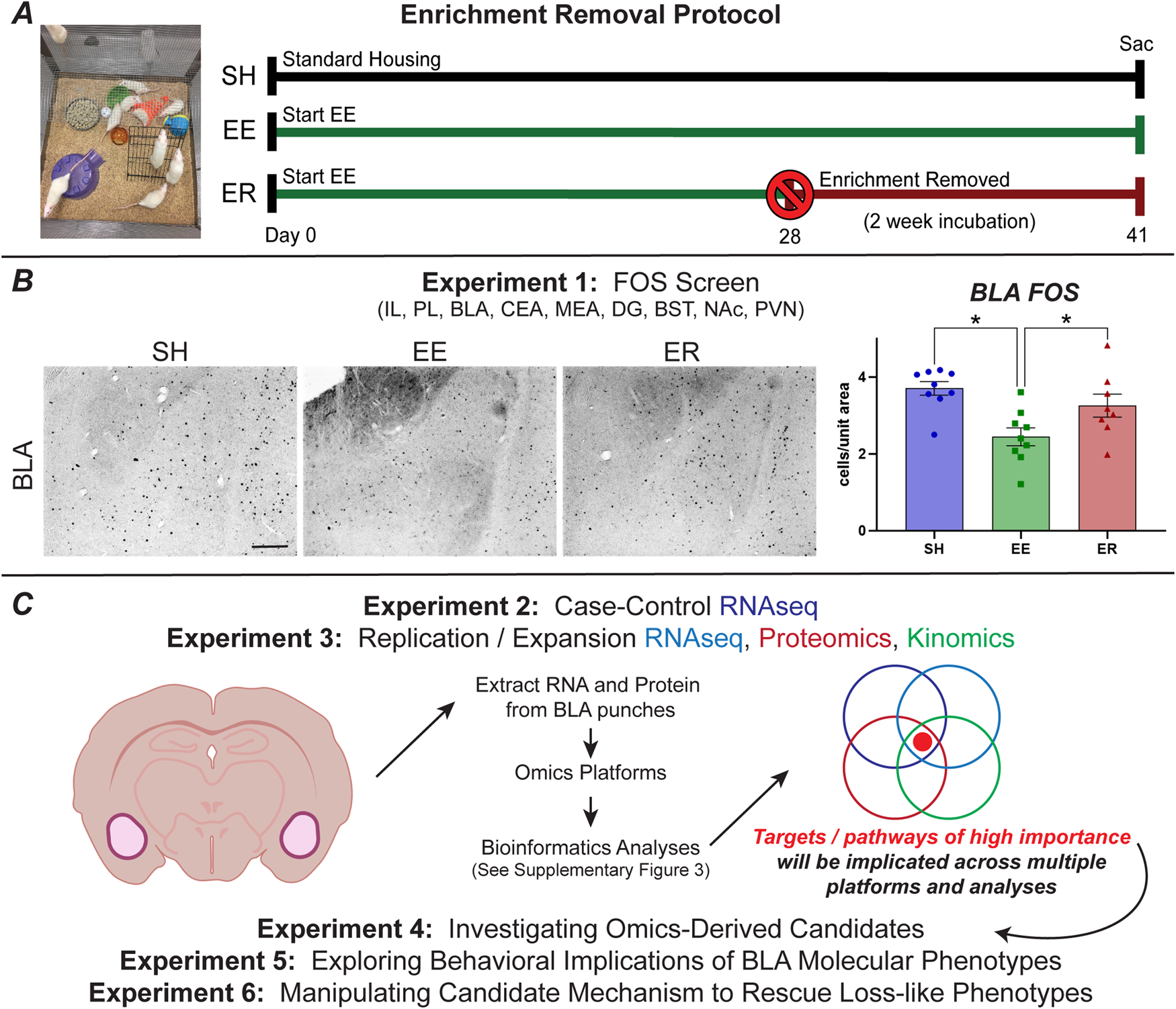 Fig. 1: Experimental background and overview.