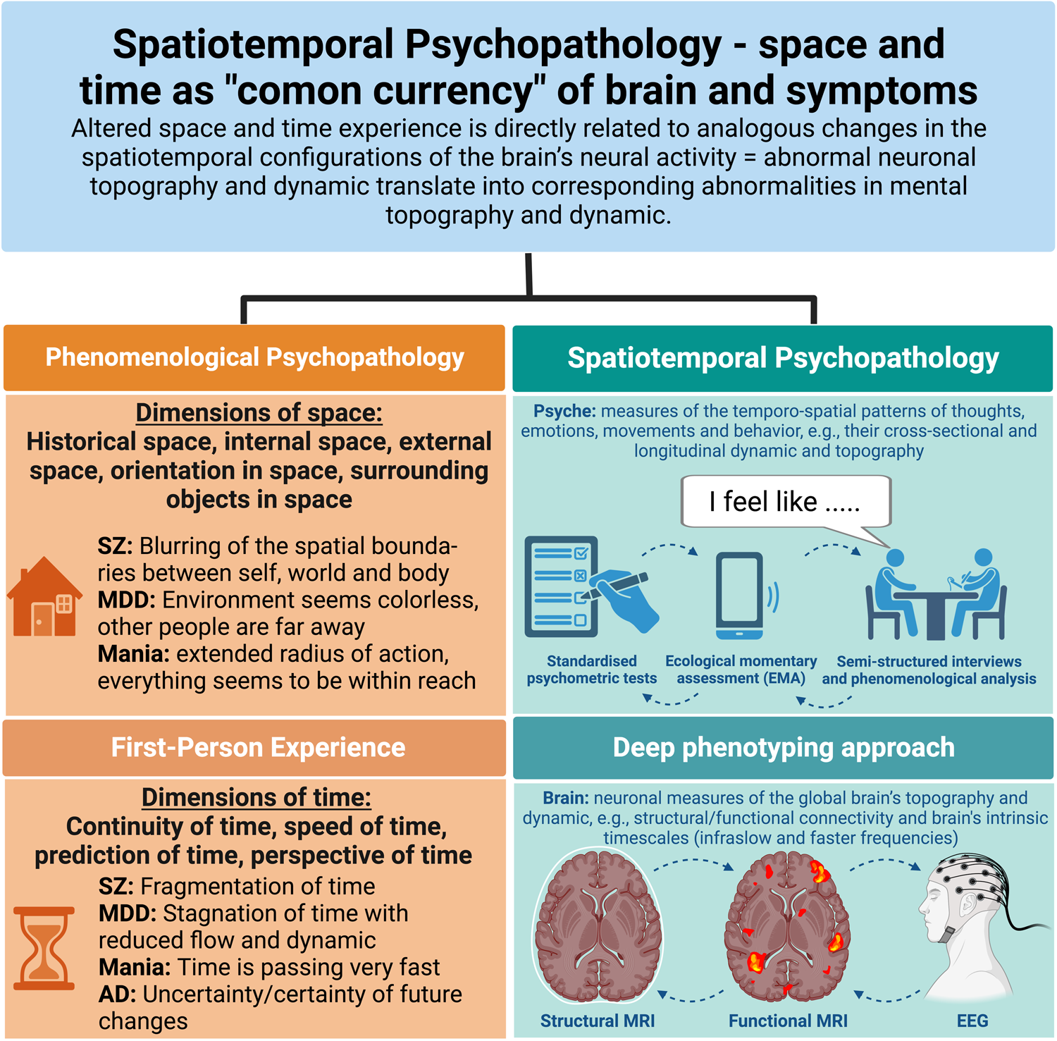 Fig. 2: Spatiotemporal Psychopathology - space and time as “common currency” of brain and symptoms.