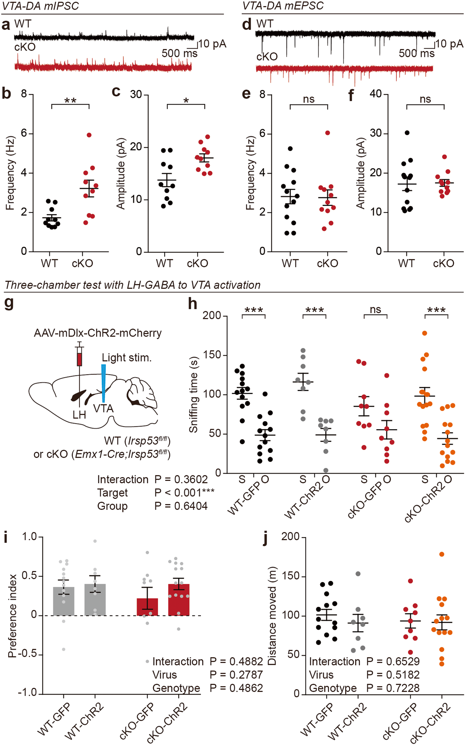Fig. 6: VTA-DA neurons are over-inhibited in Emx1-Cre;Irsp53fl/fl mice, and optogenetic activation of LH-GABA neurons improves social interaction.
