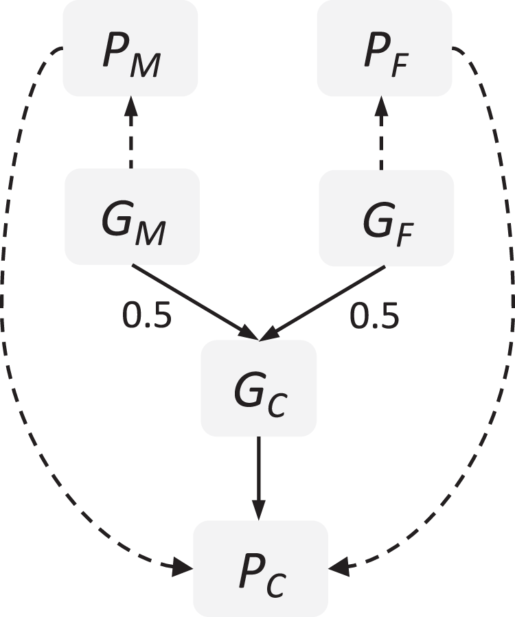 Fig. 1: Associations Between Parental Genotypes and Offspring Phenotype.