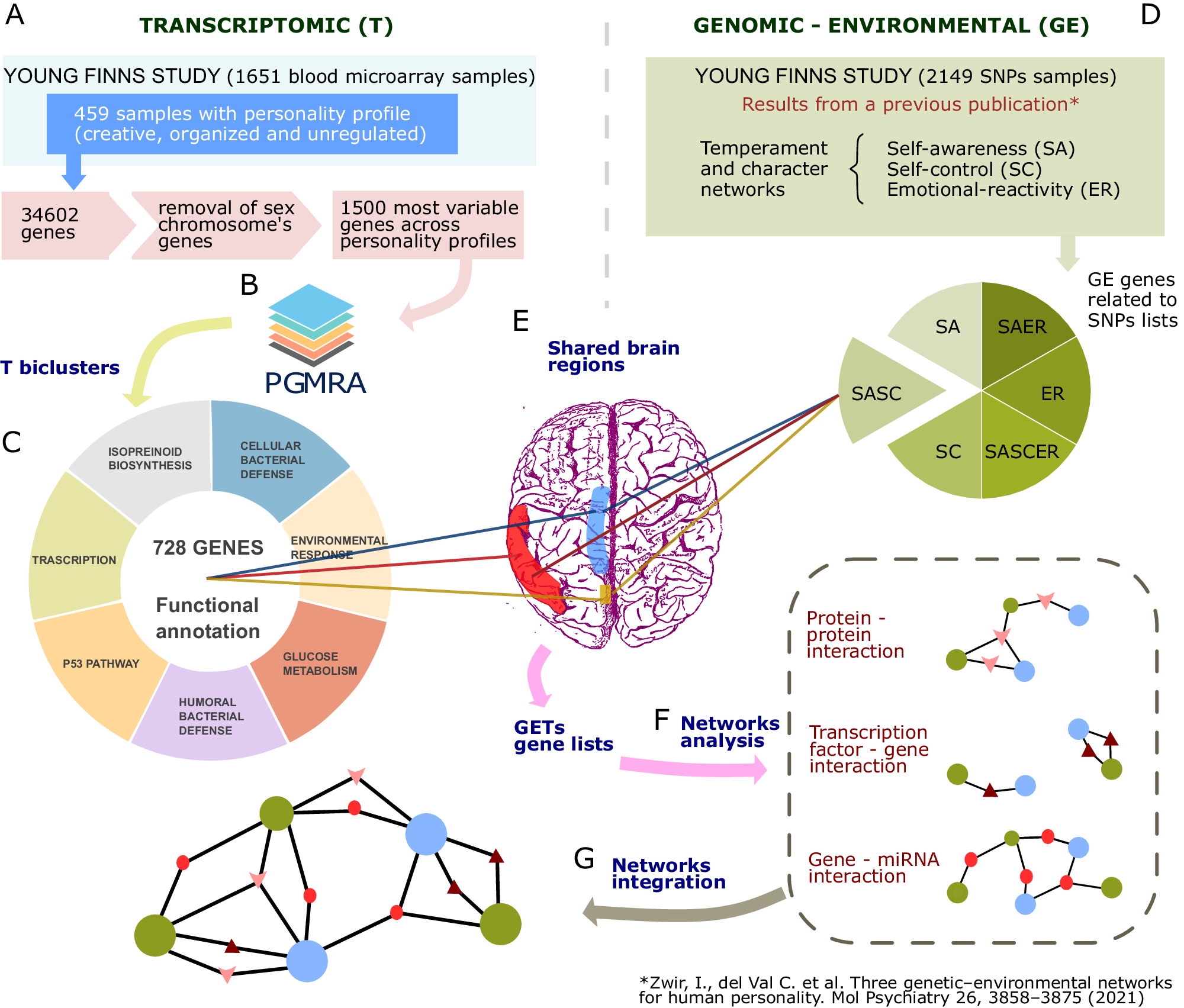 Gene expression networks regulated by human personality 