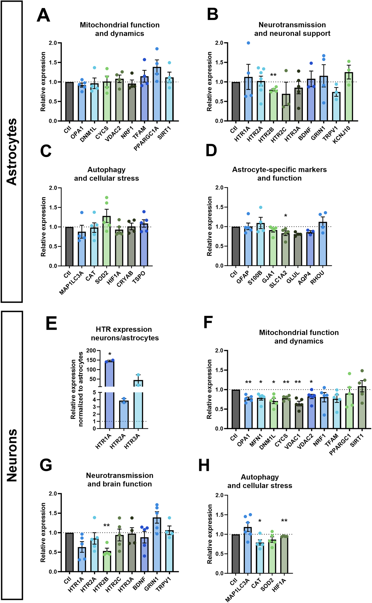 Fig. 1: mRNA expression in astrocytes and neurons.