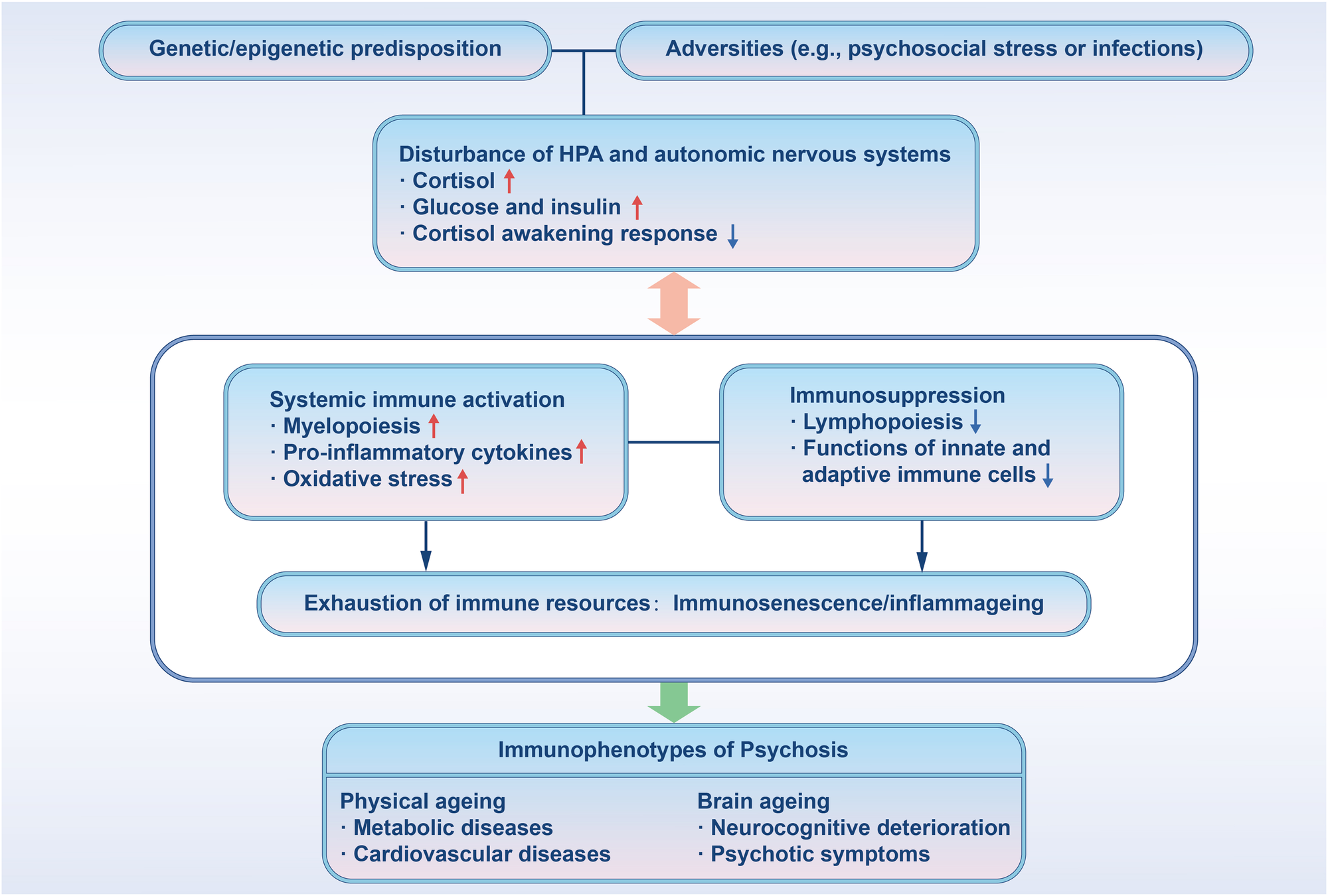 Fig. 3: Proposed inflamm-aging-associated mechanisms underlying the pathogenesis of psychosis and comorbidities.