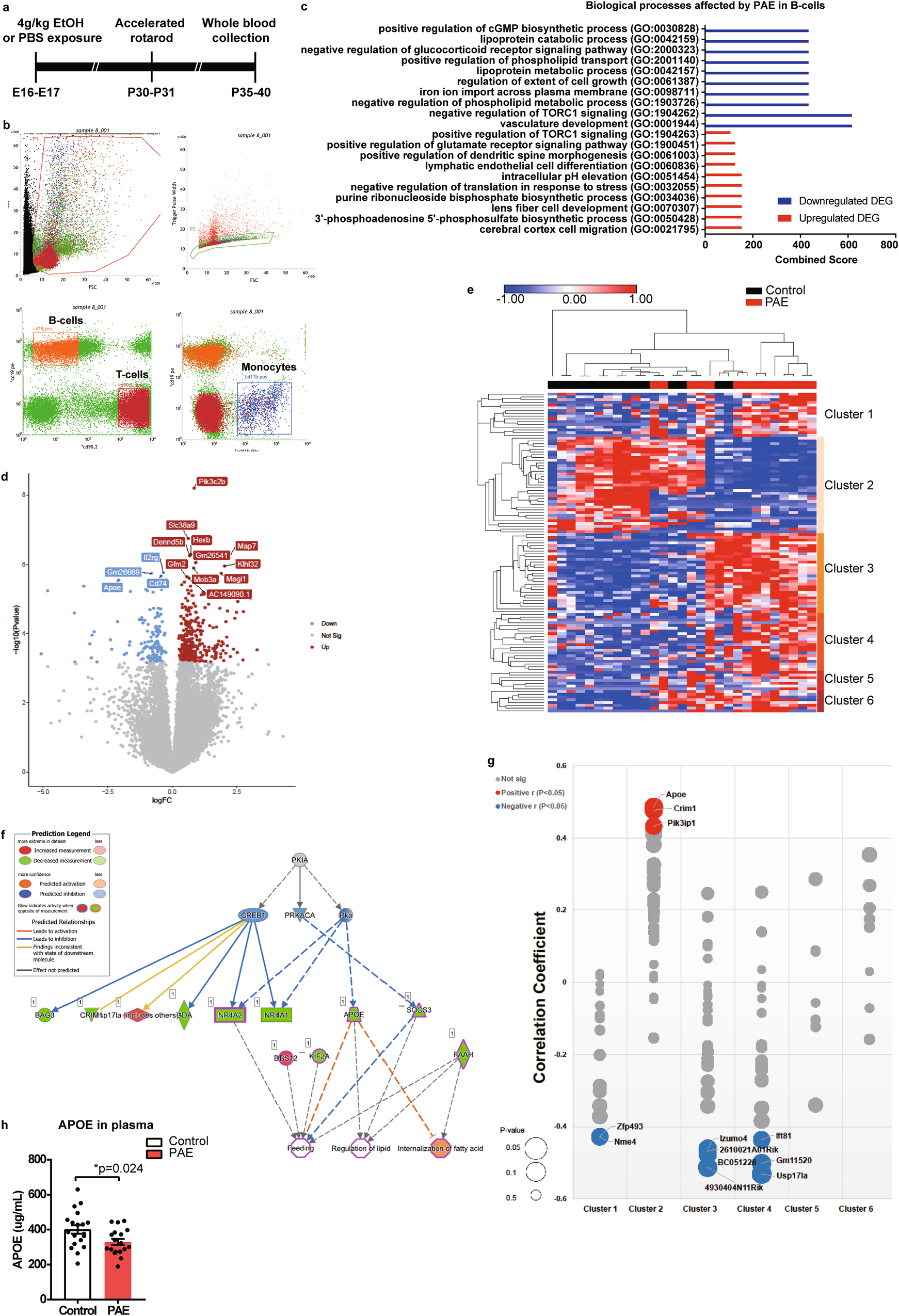 Fig. 1: PAE reduces APOE expression in PBMCs.