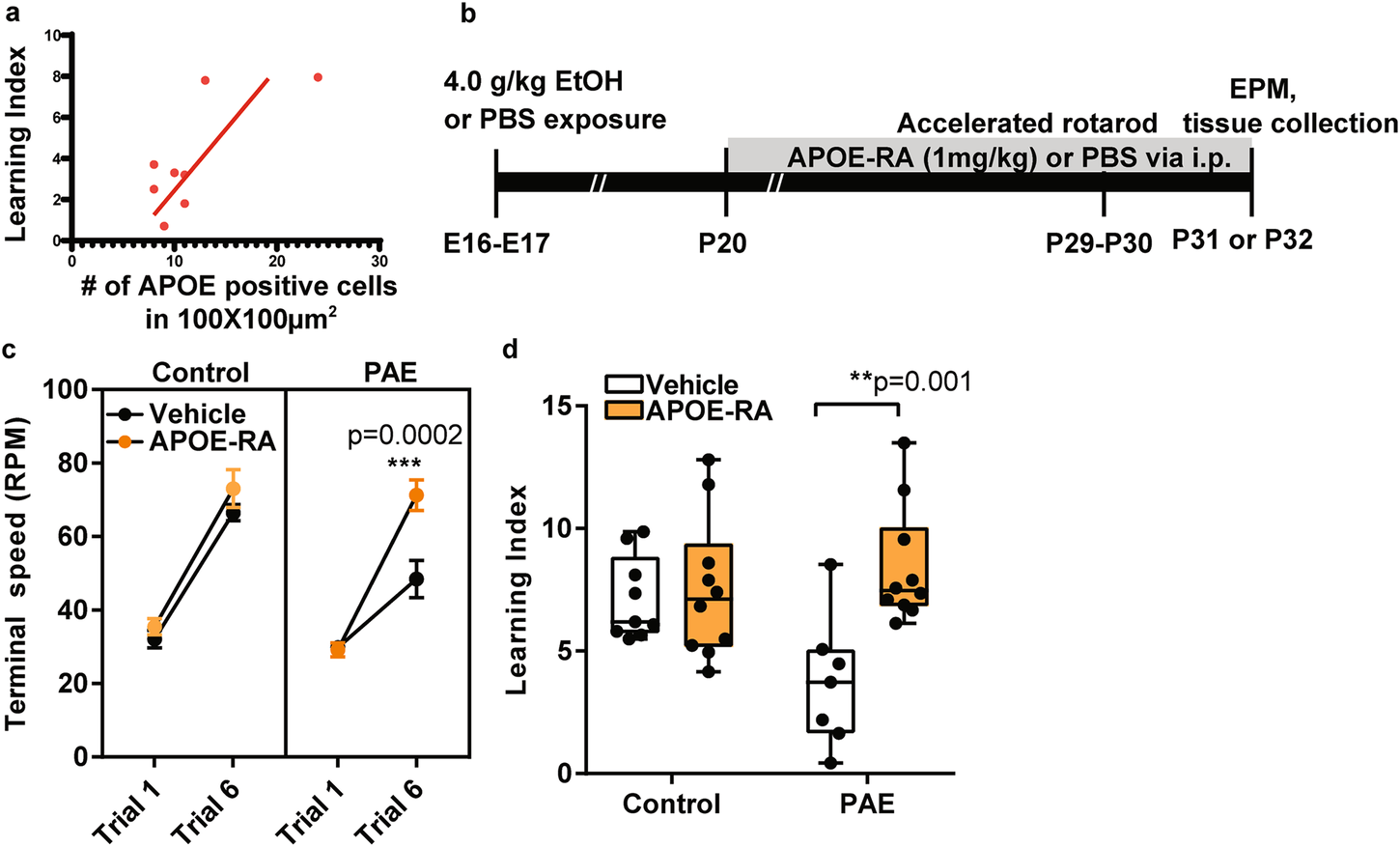 Fig. 2: APOE-RA improves motor learning in PAE mice.