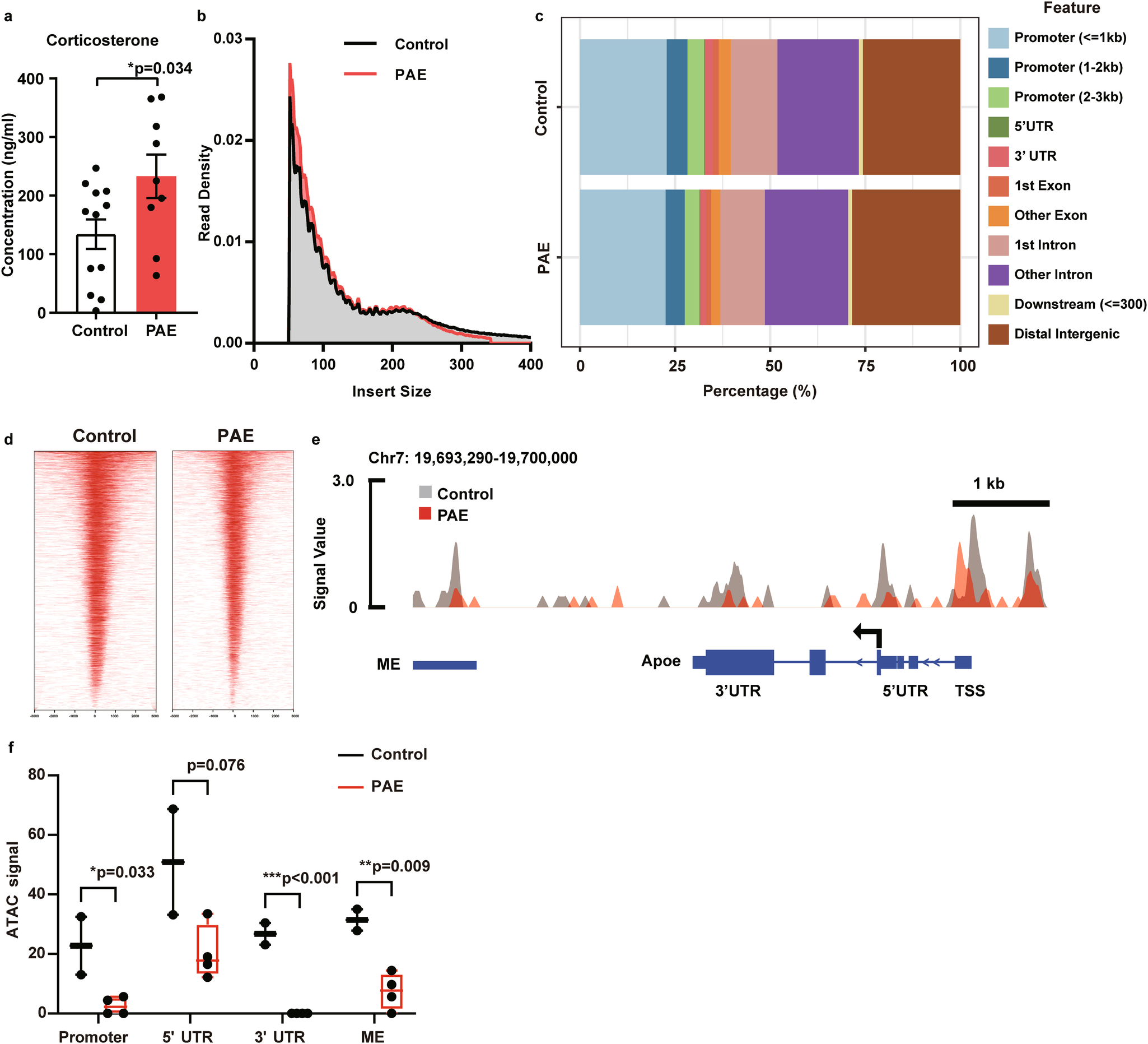 Fig. 4: PAE decreases chromatin accessibility in the brain.