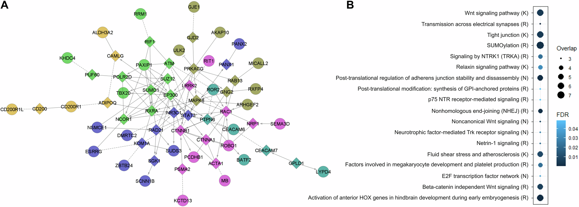 Fig. 2: Biological context.
