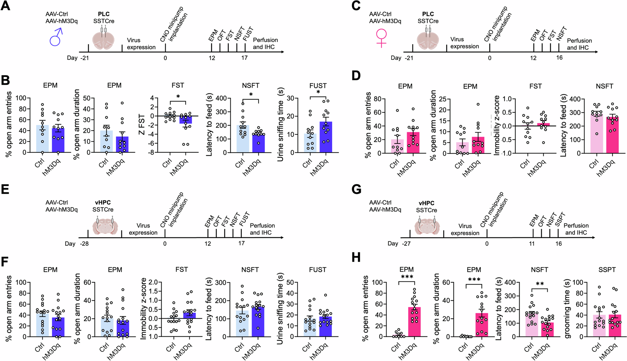 マウスの慢性ストレスの影響を緩和する脳領域は性別によって異なる(Brain regions that relieve effects of chronic stress in mice differ based on sex)