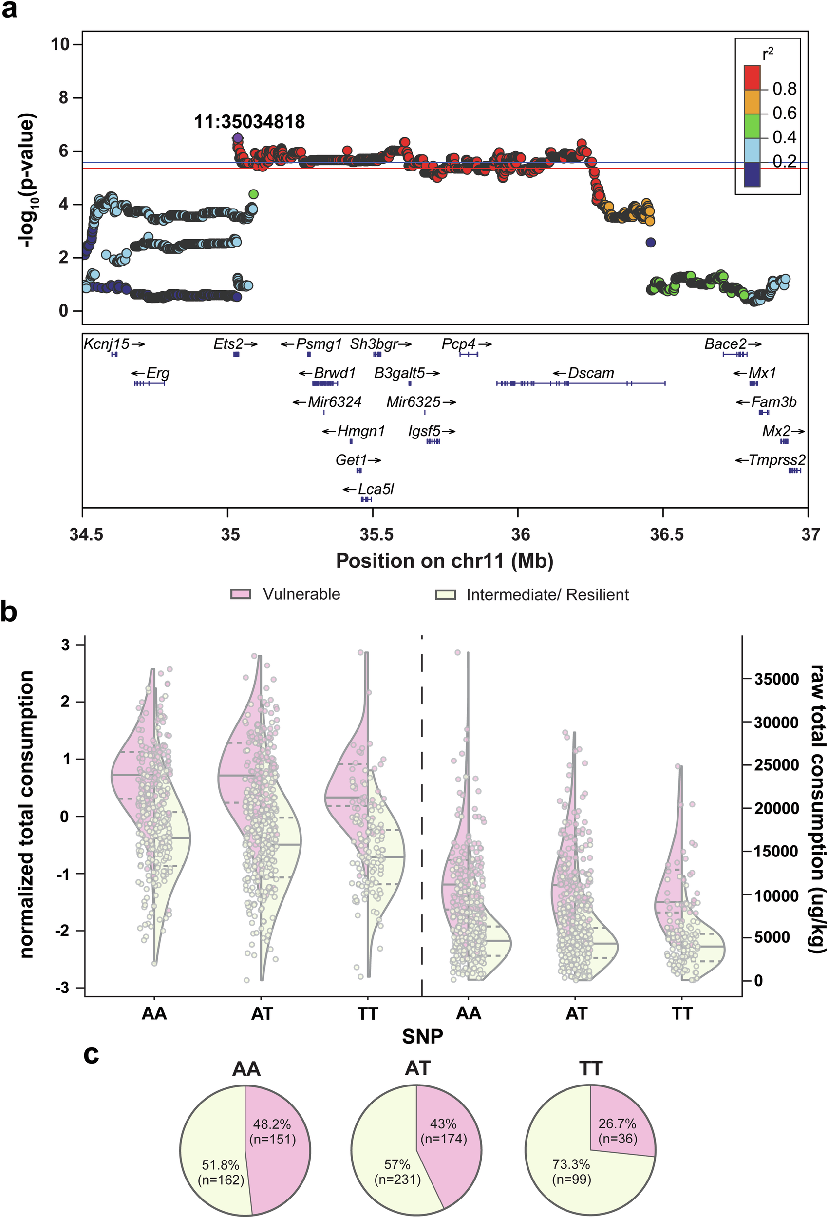 Fig. 4: GWAS results for total heroin consumed across self-administration training.
