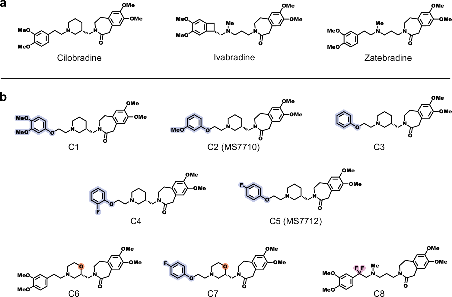 Fig. 1: Chemical structures of Cilobradine, Ivabradine and Zatebradine and their analogs designed and synthesized to improve BBB permeability.