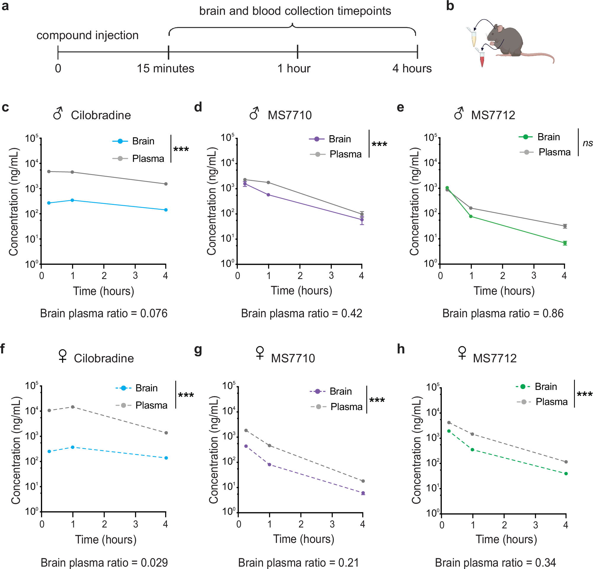 Fig. 3: Novel HCN inhibitors MS7710 and MS7712 exhibit improved BBB permeability compared to their parent compound Cilobradine.