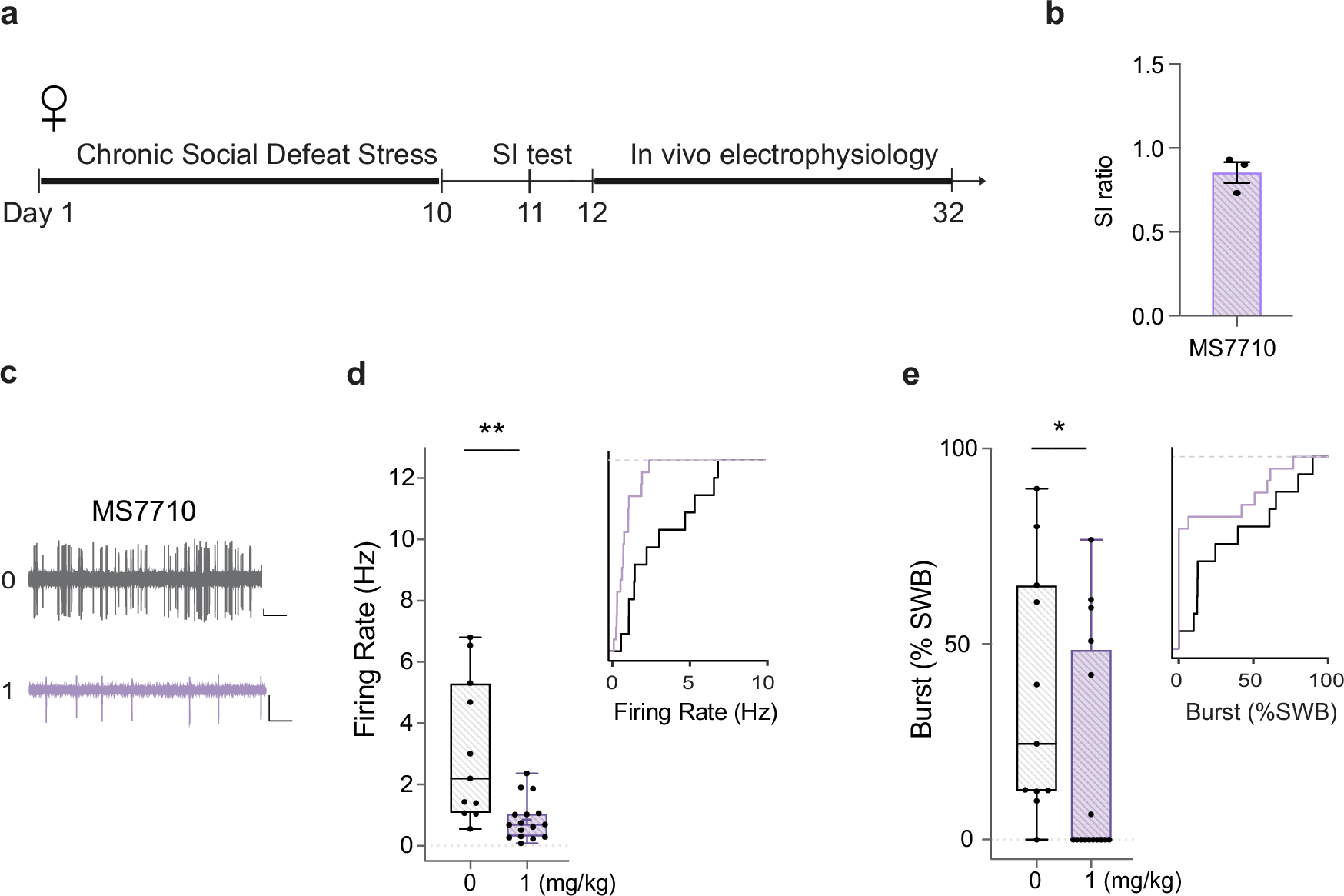 Fig. 5: Novel HCN inhibitor MS7710 reverses CSDS-induced hyperdopaminergia in female CSDS-susceptible mice.