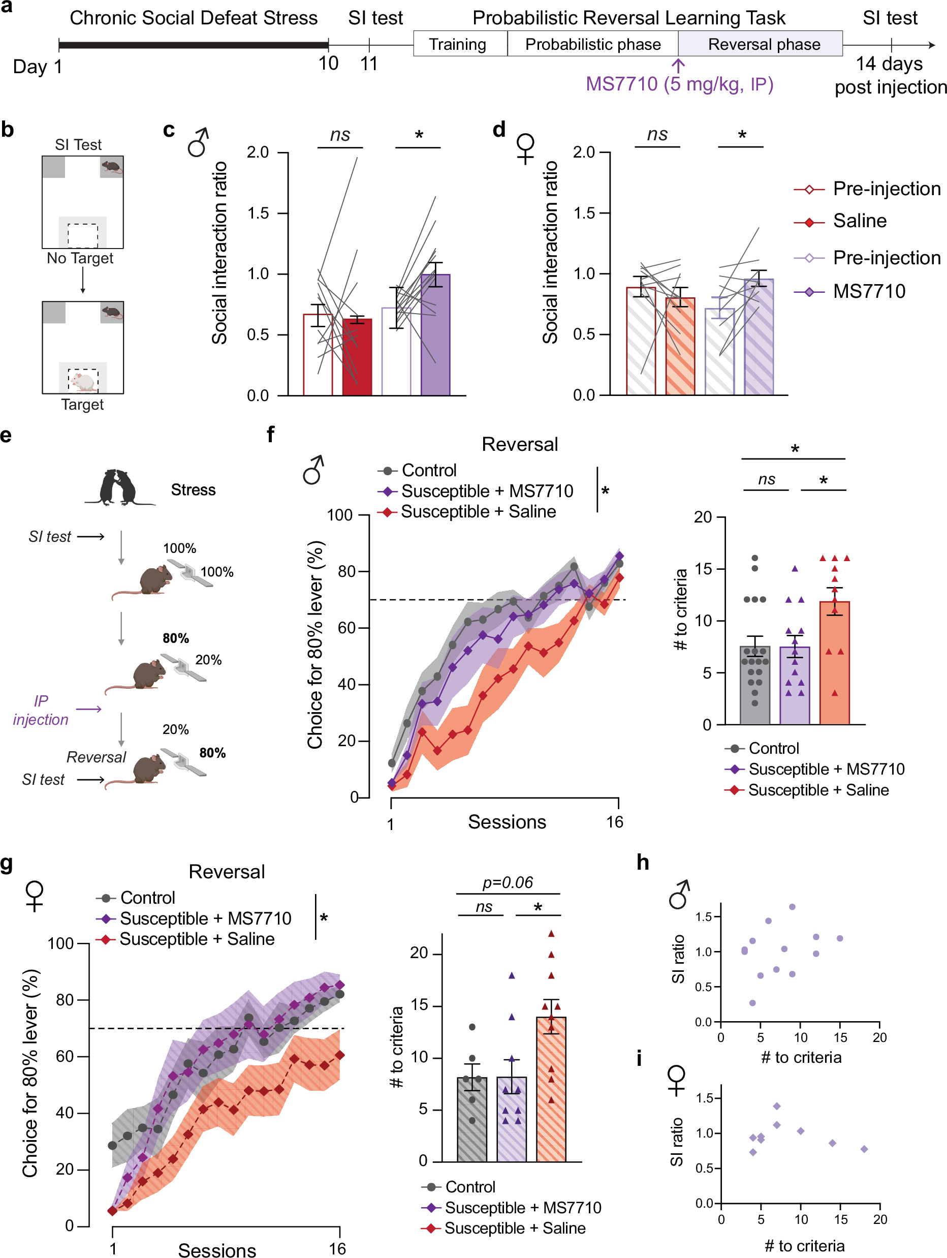 Fig. 6: Novel HCN inhibitor MS7710 improves CSDS-induced social, reward, and cognitive deficits.