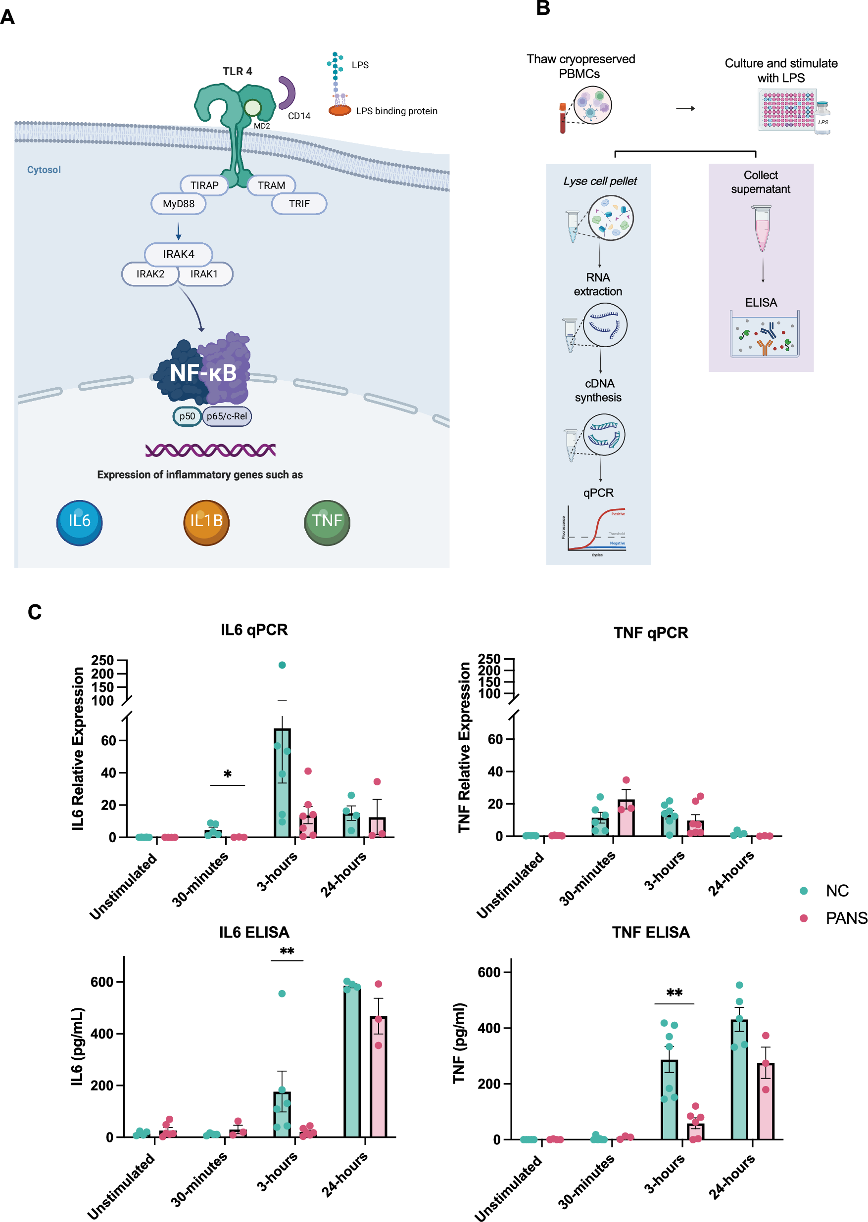 Fig. 5: Toll-like receptor stimulation analysis in Paediatric acute neuropsychiatric syndrome patients compared to controls.