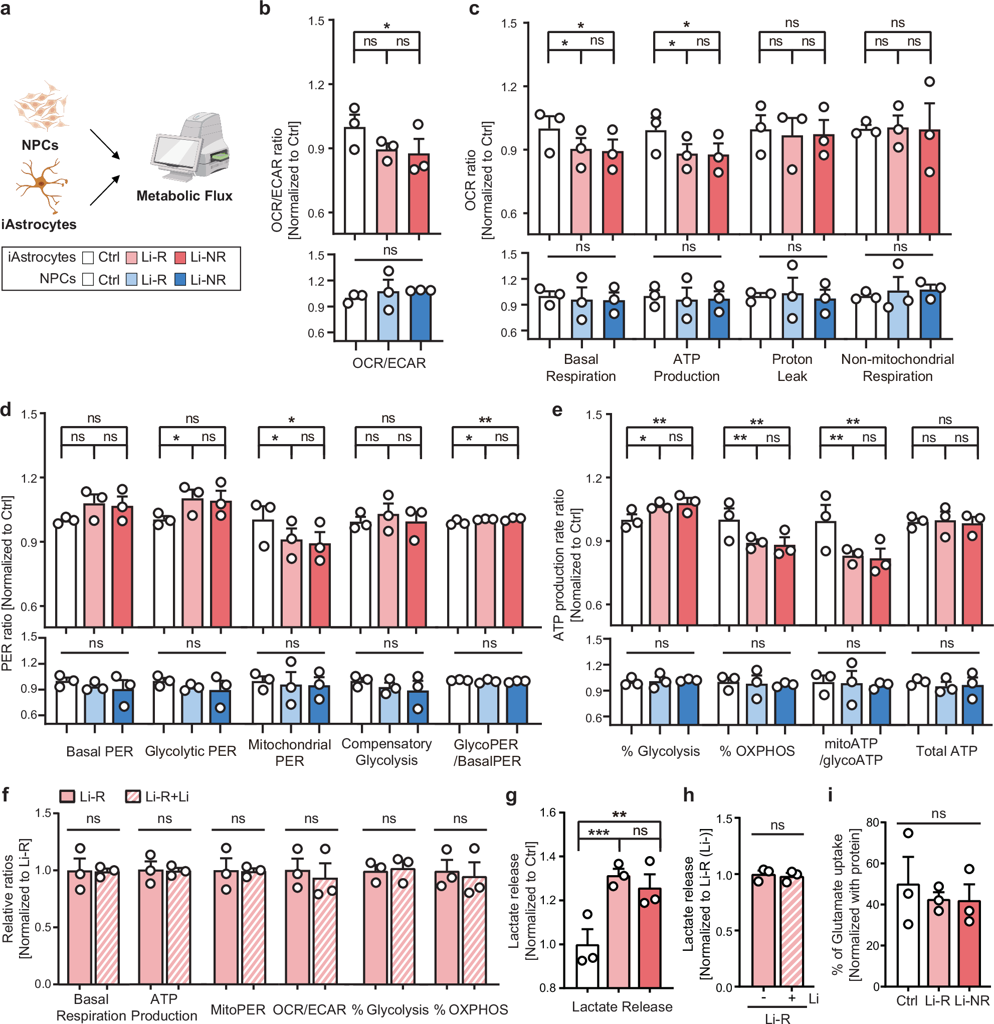 Fig. 3: Metabolic alterations of OXPHOS and glycolysis in BD iAstrocytes.