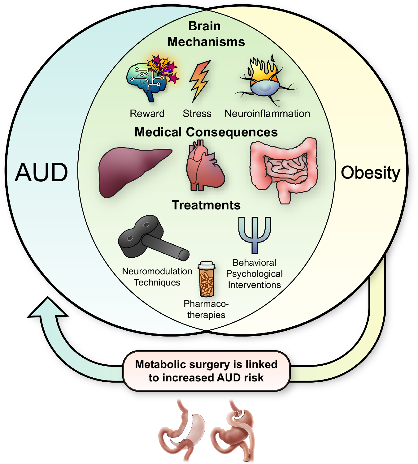 Crosstalk between alcohol use disorder and obesity: two sides of the same  coin? | Molecular Psychiatry