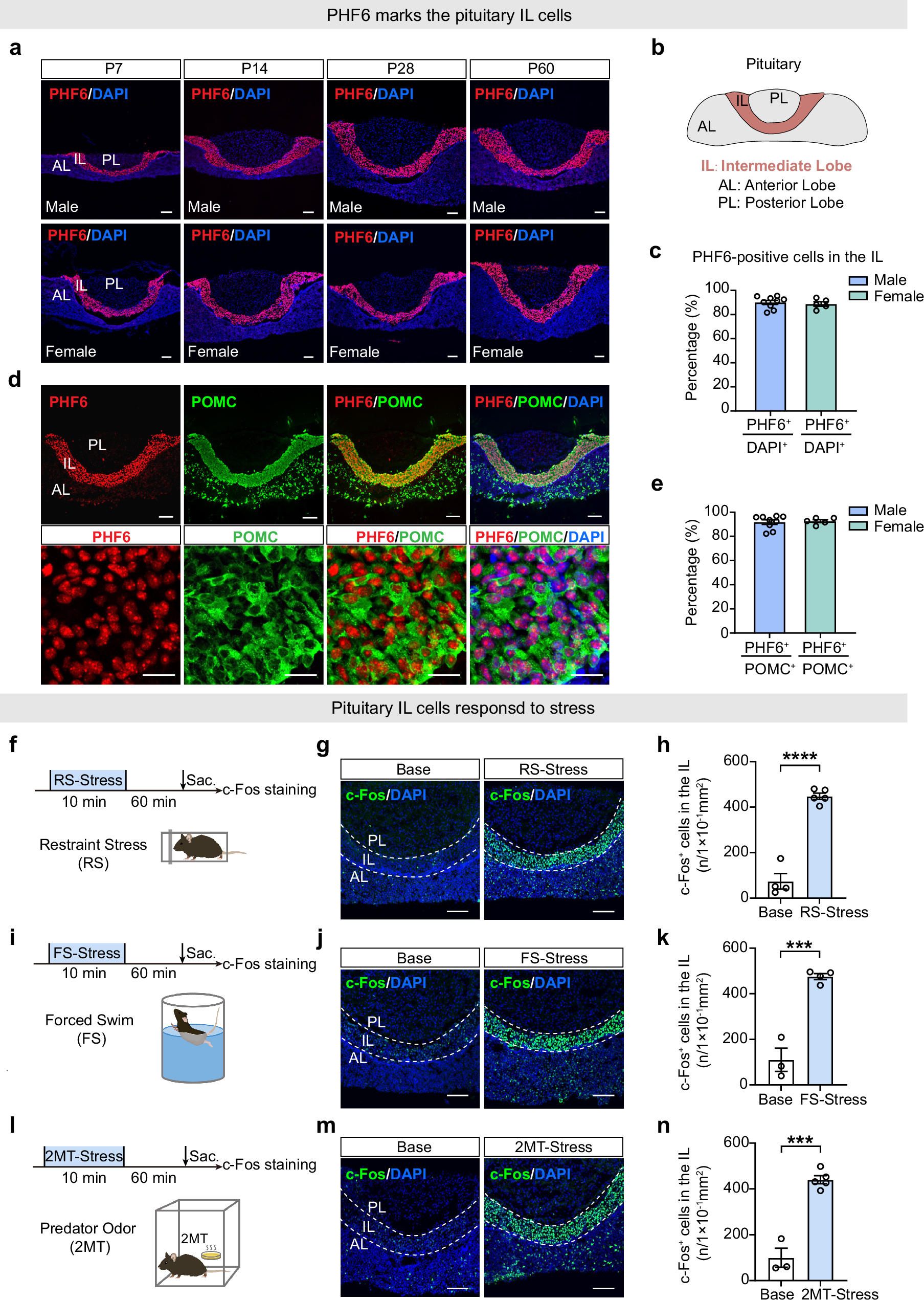 Dogs of Chernobyl - Clean Futures Fund, image size:1807x2541