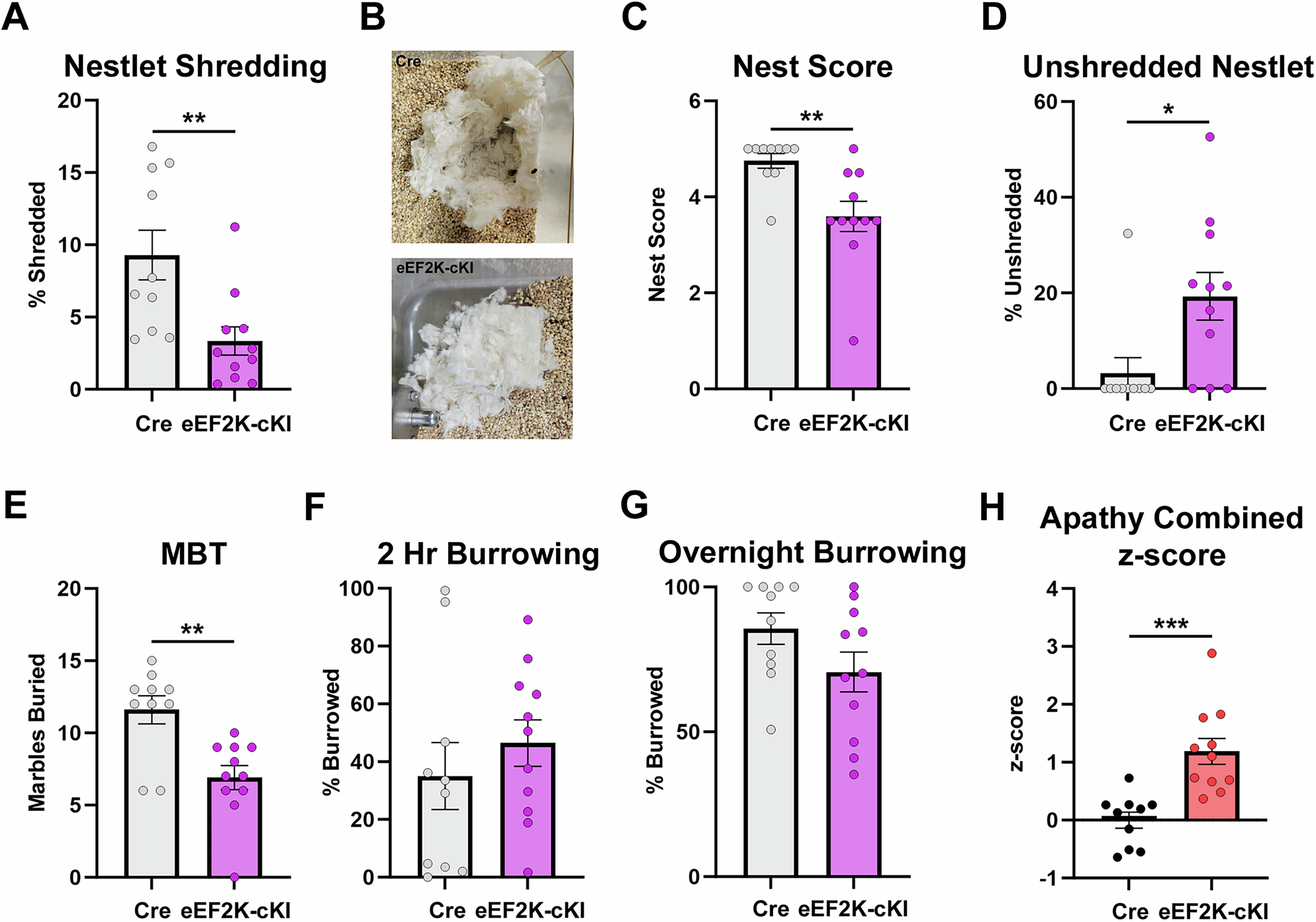 Fig. 2: eEF2K overexpression increased apathy-like behavior.