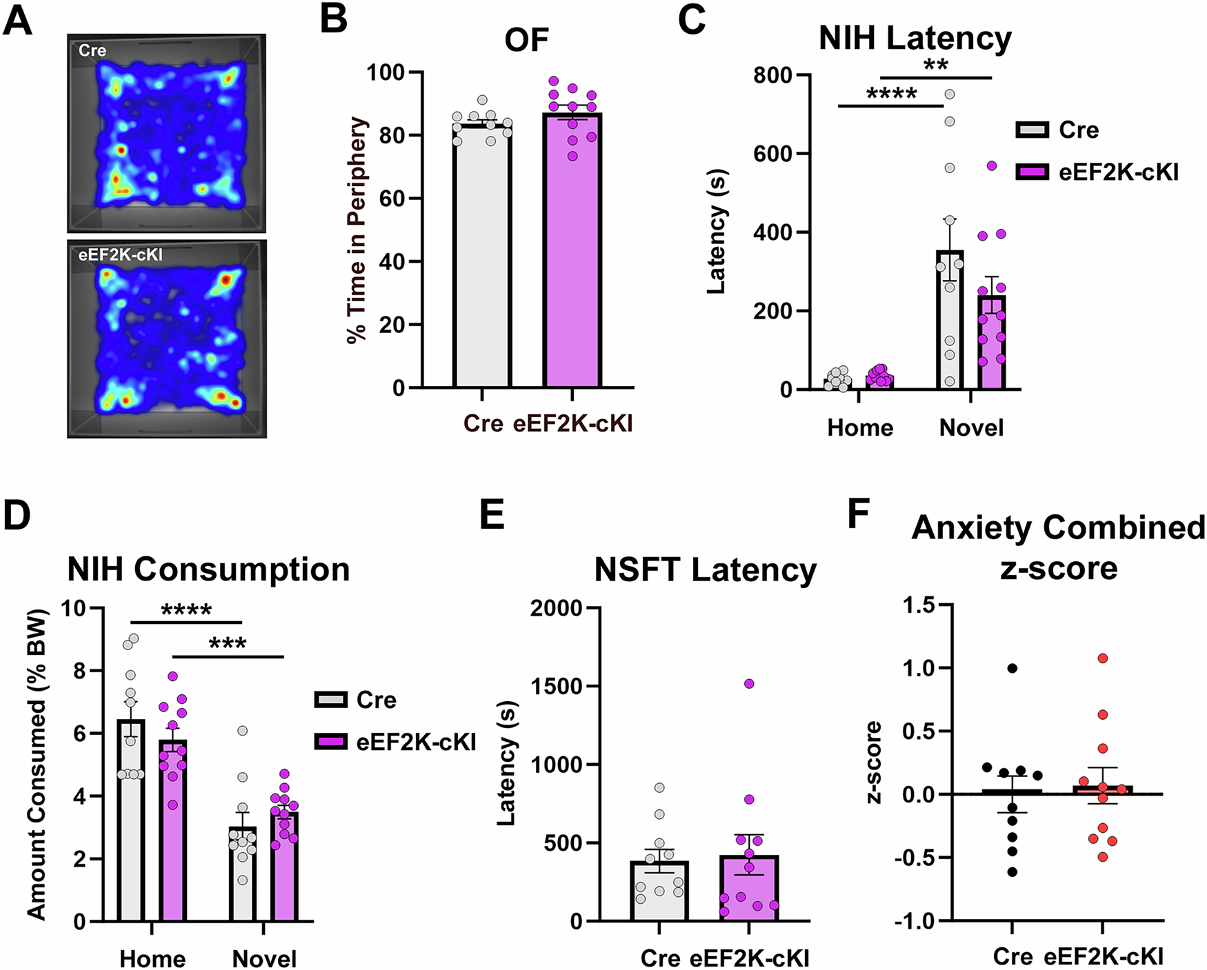 Fig. 4: eEF2K overexpression had no effect on anxiety behaviors.