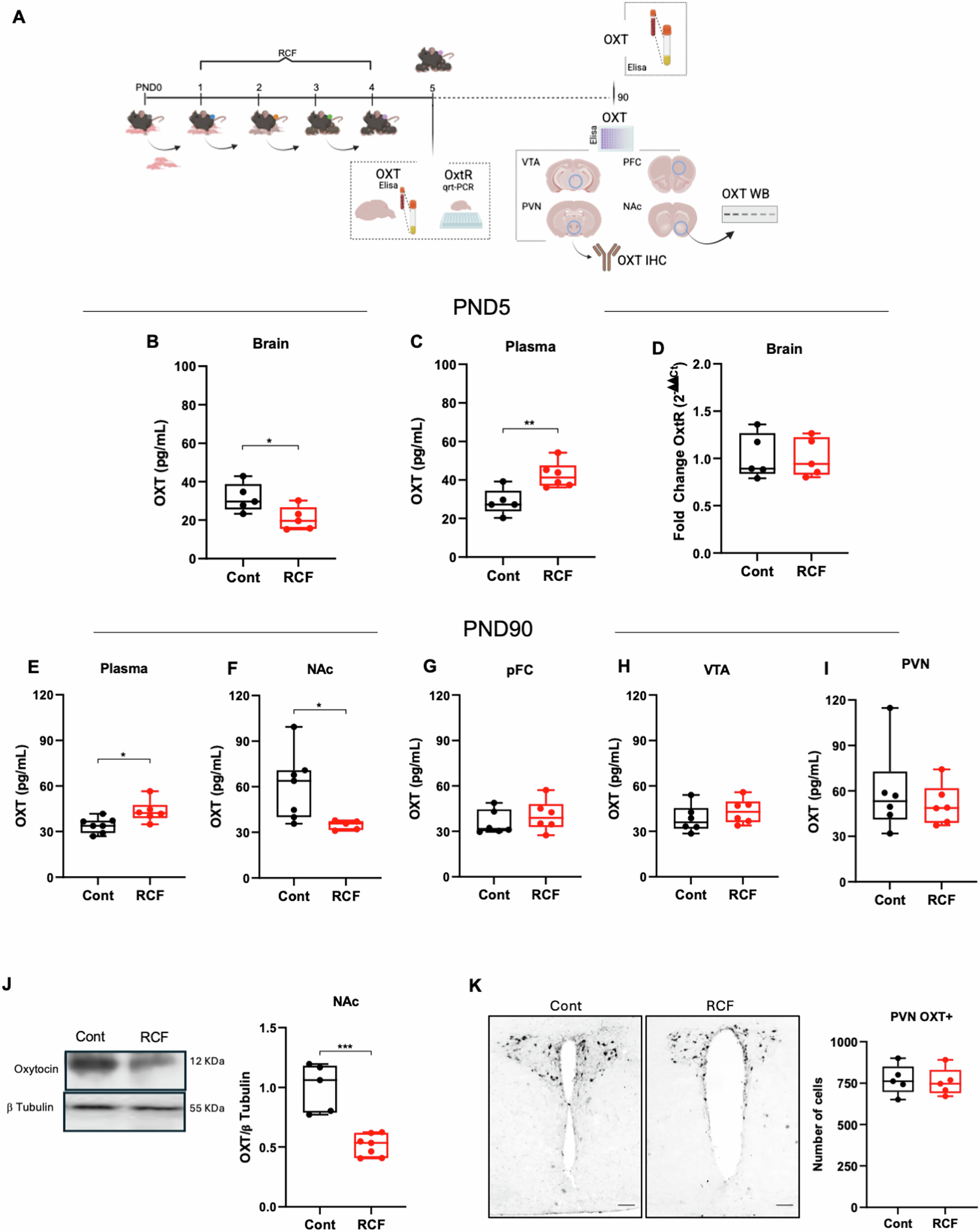 The oxytocin system mediates behavioral and neurobiological alterations  associated with early adversity | Molecular Psychiatry