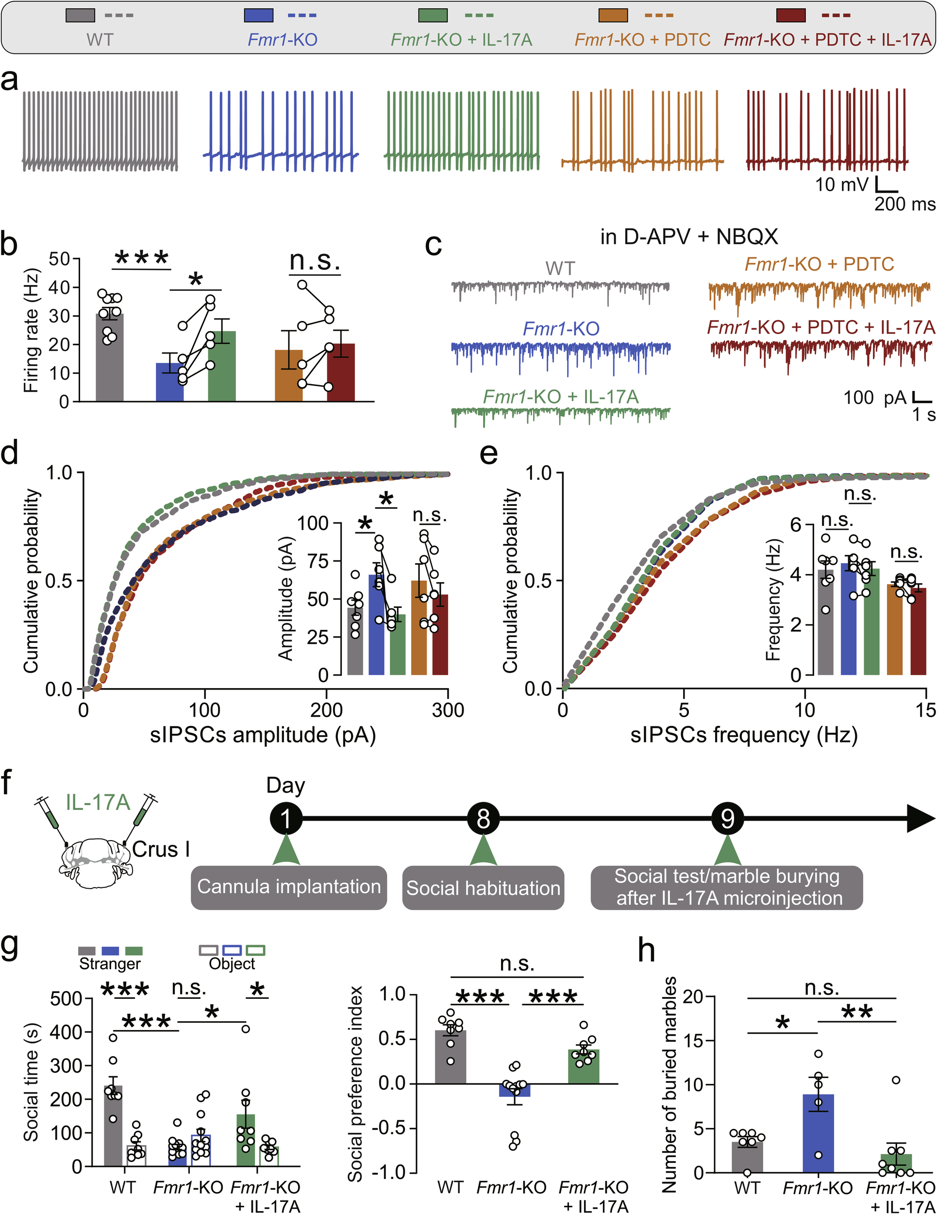 Fig. 5: IL-17A improves cerebellar PC excitability and ASD-like behaviors in Fmr1-KO mice.