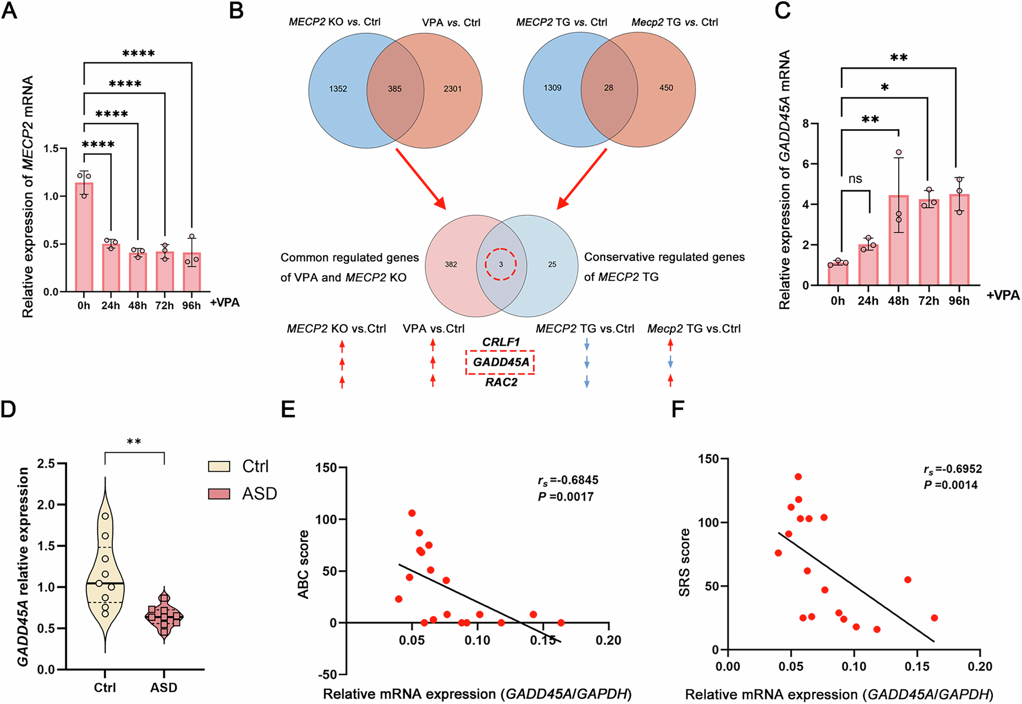 The novel role of GADD45A in the etiology of autism: modulating neuronal  excitability via TET1/R-loop dependent regulation of KCNQ5