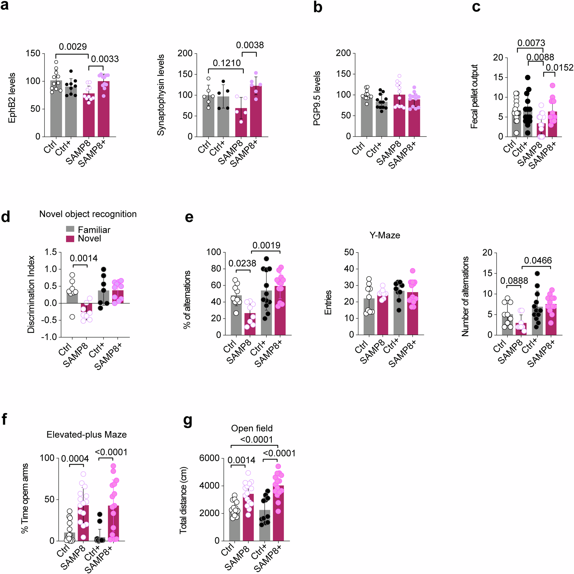 Fig. 7: Butyrate improves gut connectivity and motility in SAMP8 mice.